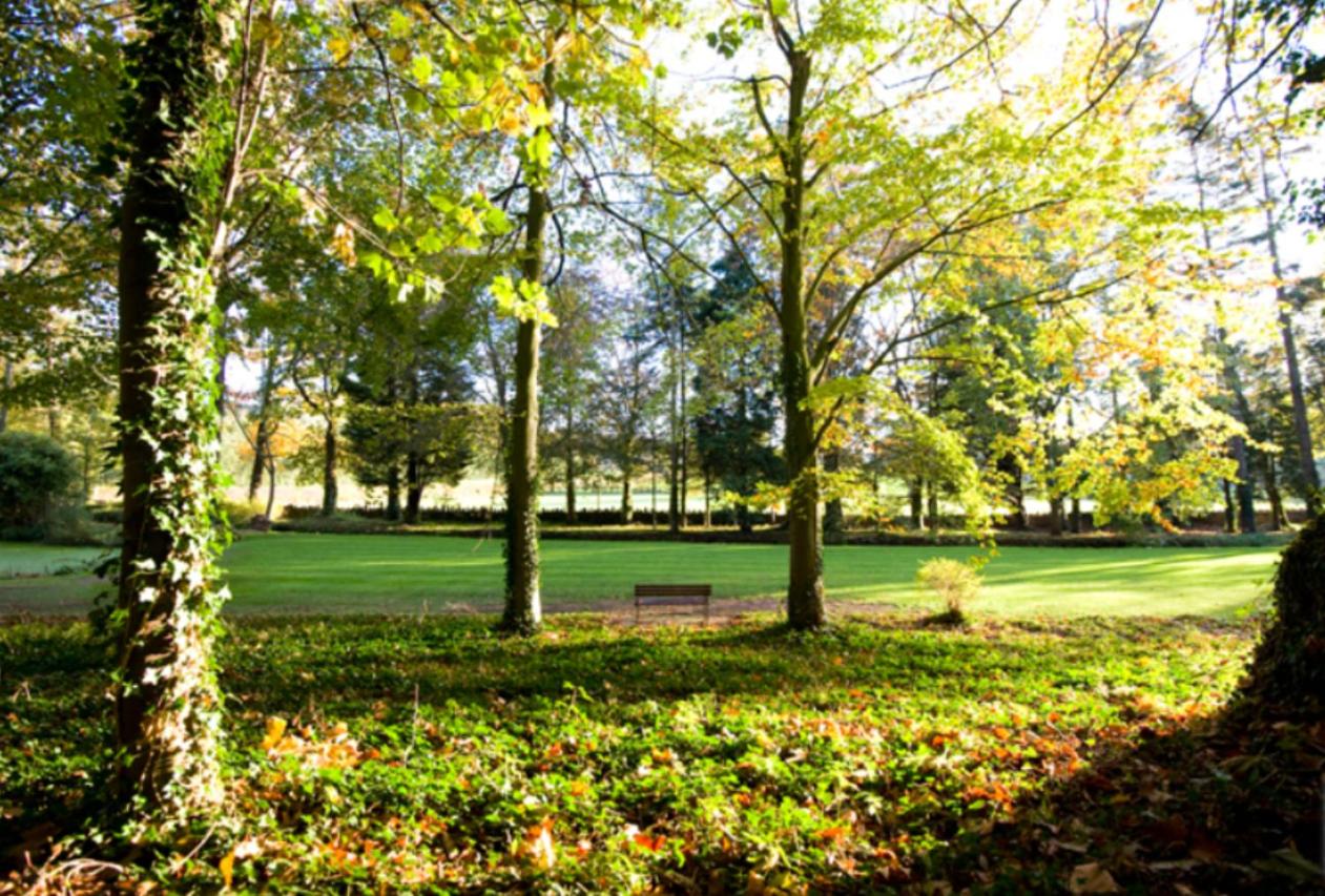 Chelsea Parkfields