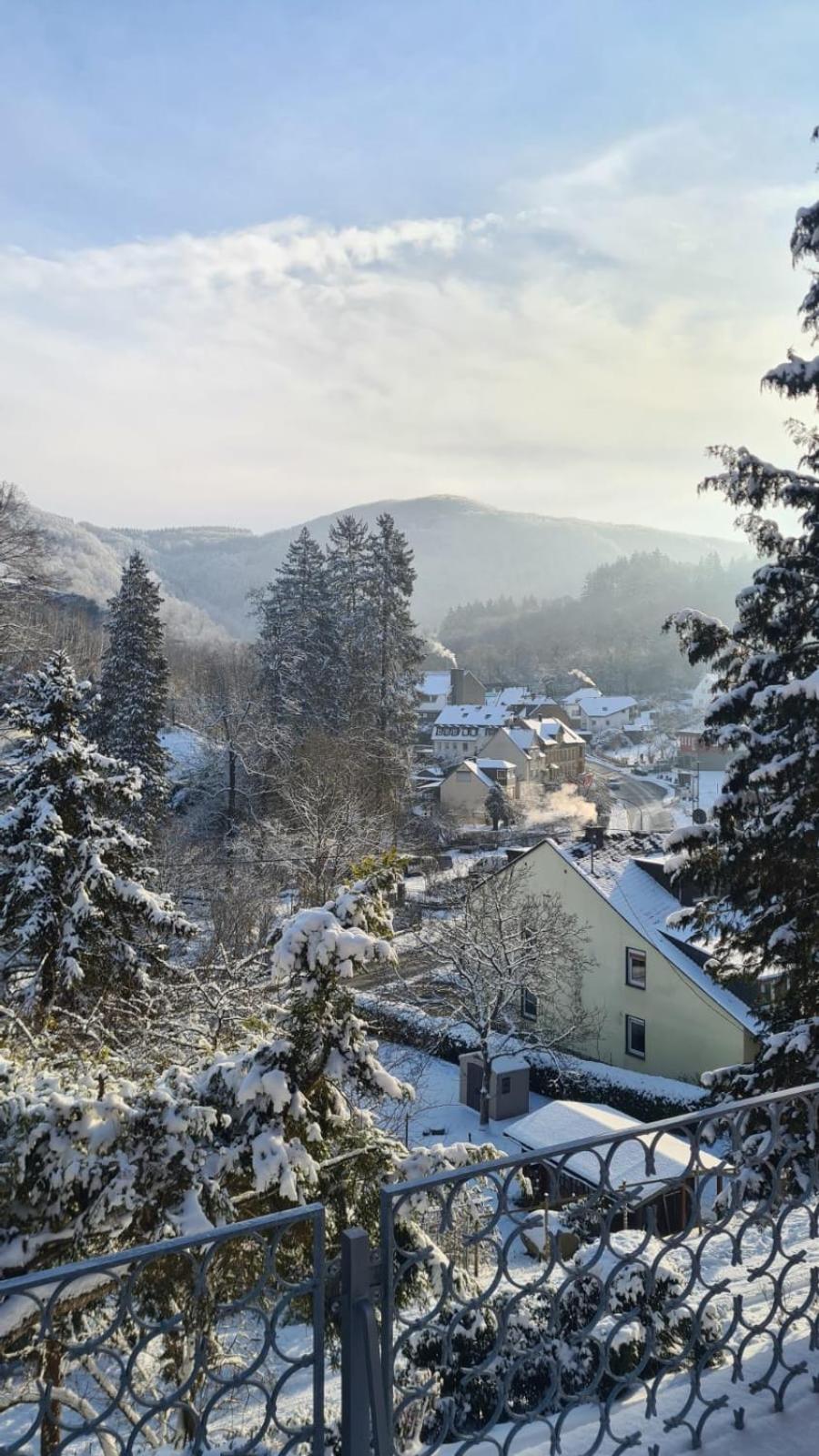 Maxi-Appartement zum gechillten Hirsch OG Traben-Trarbach