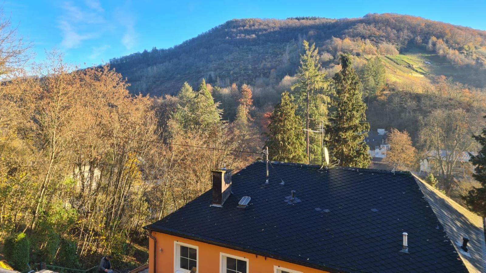 Maxi-Appartement zum gechillten Hirsch OG Traben-Trarbach