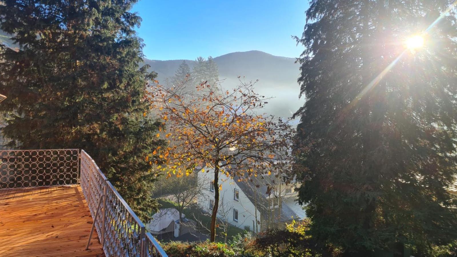 Maxi-Appartement zum gechillten Hirsch OG Traben-Trarbach