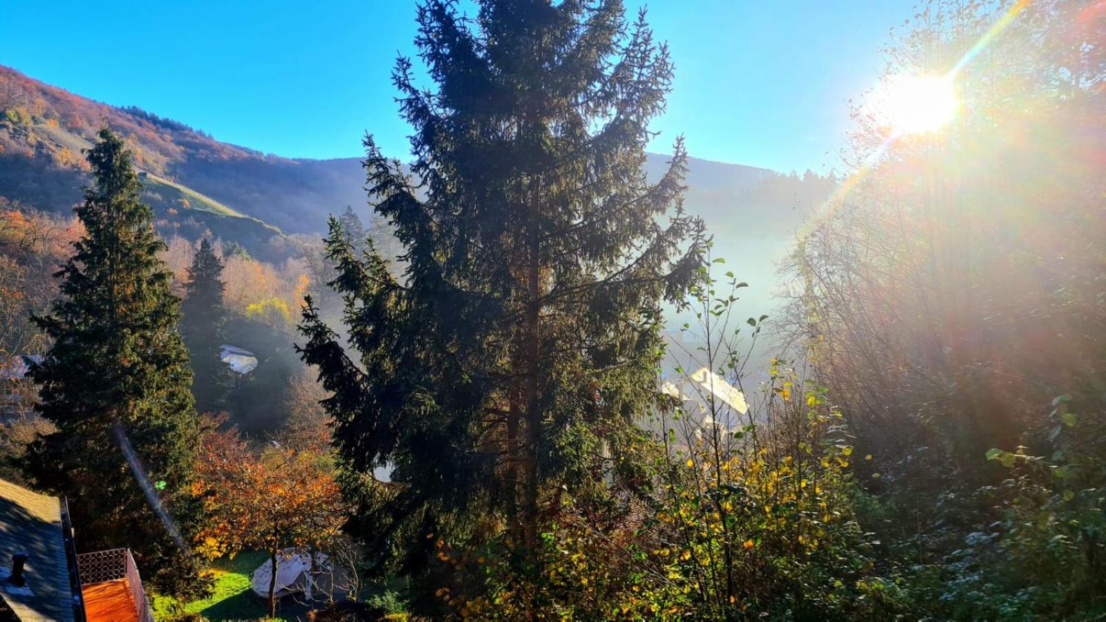 Maxi-Appartement zum gechillten Hirsch OG Traben-Trarbach
