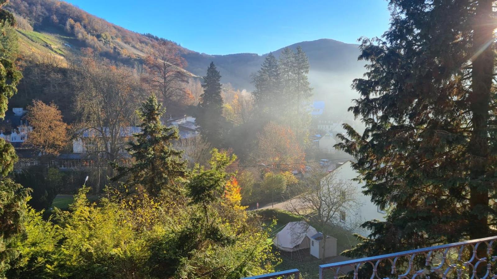 Maxi-Appartement zum gechillten Hirsch OG Traben-Trarbach
