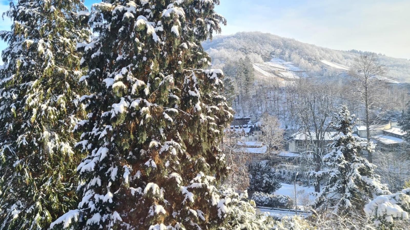 Maxi-Appartement zum gechillten Hirsch OG Traben-Trarbach