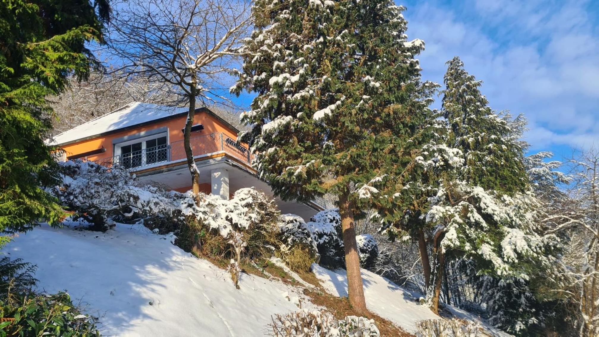 Maxi-Appartement zum gechillten Hirsch OG Traben-Trarbach