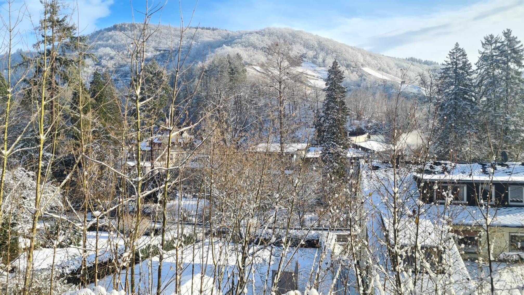 Maxi-Appartement zum gechillten Hirsch OG Traben-Trarbach