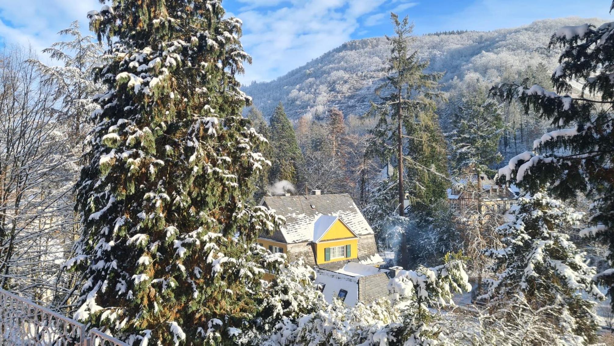 Maxi-Appartement zum gechillten Hirsch OG Traben-Trarbach
