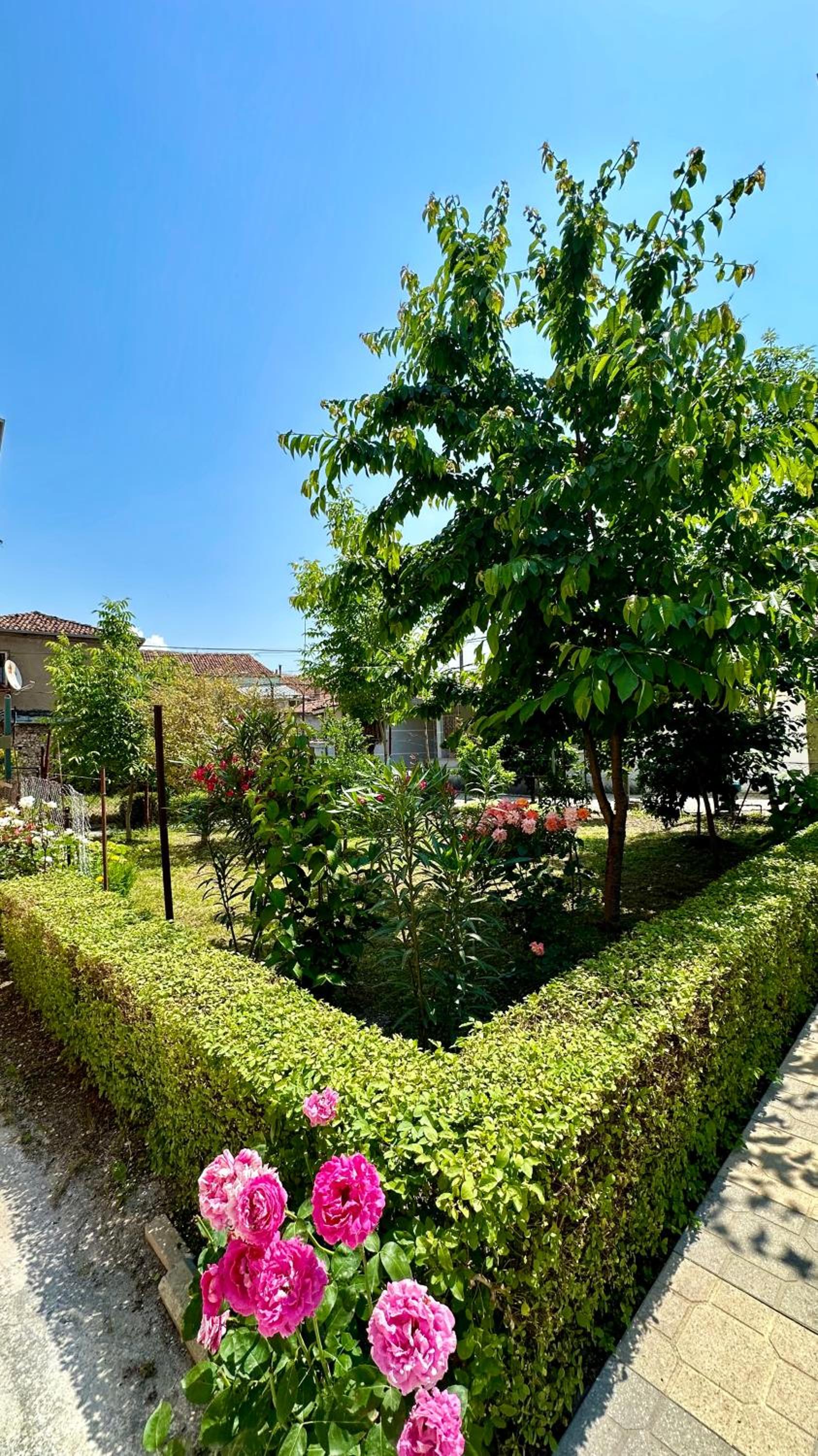 Js House Shkoder 4