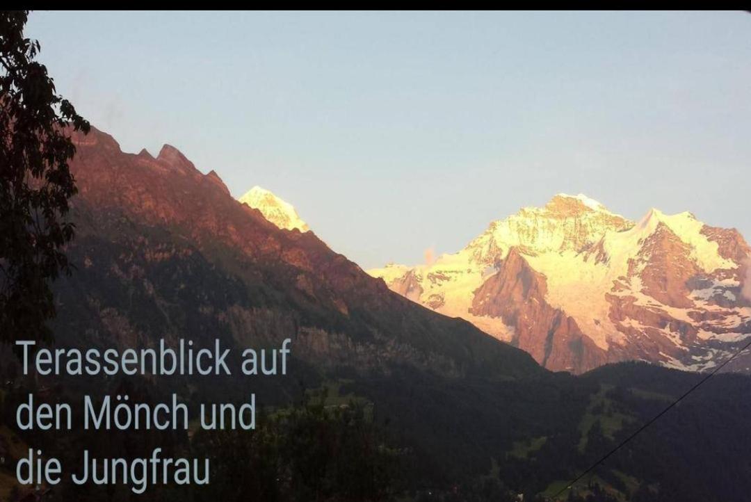 Chalet Mönchsblick