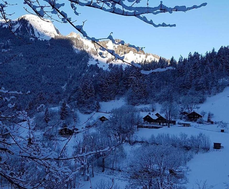 Chalet Mönchsblick