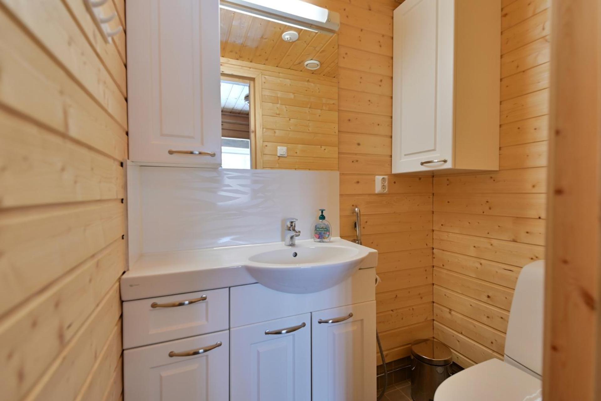 Holiday Cabin Aurora River inc Wilderness Sauna