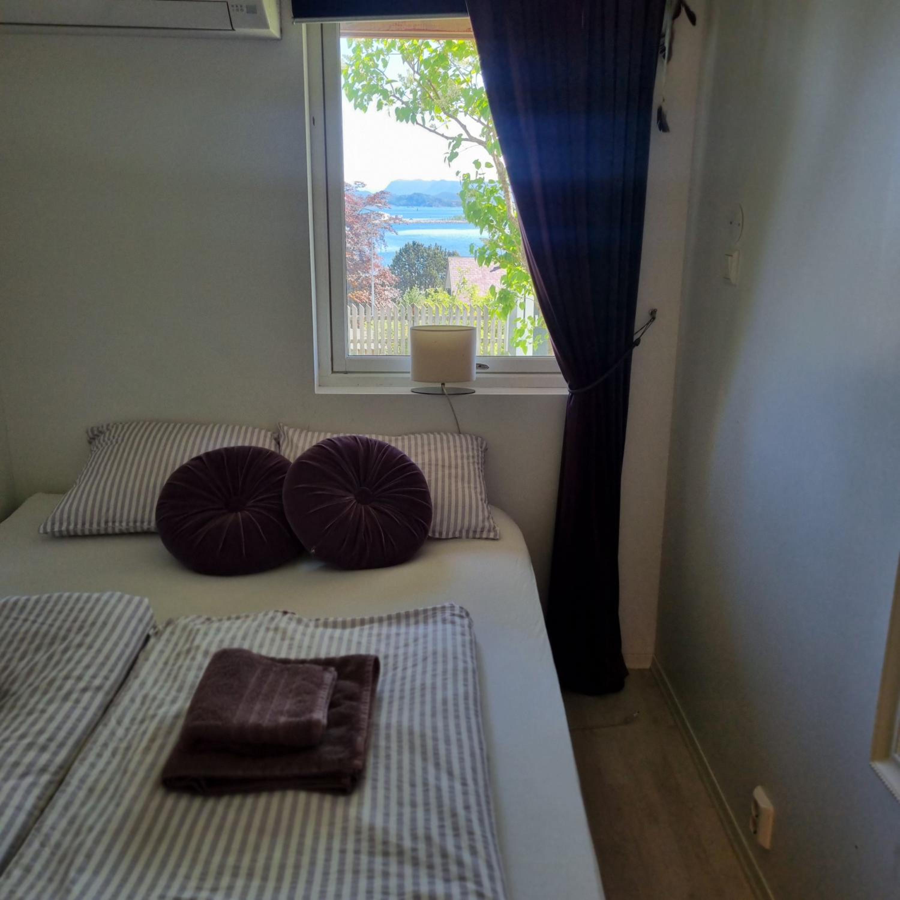 Apartment near center / free P view 3