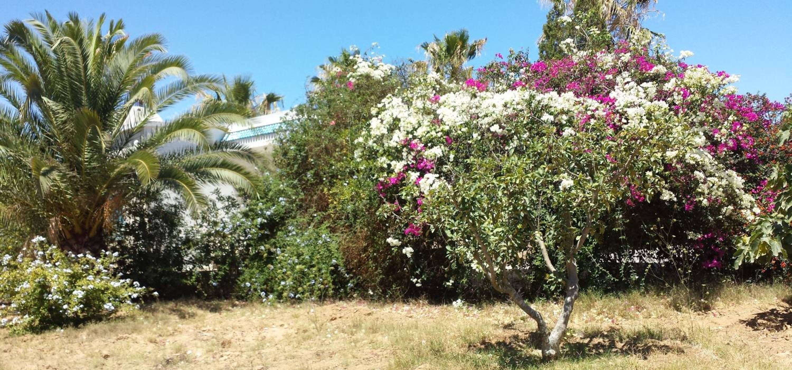 Maison Villa Sousse Chott-Meriem, jardin arboré, 400 m de la plage