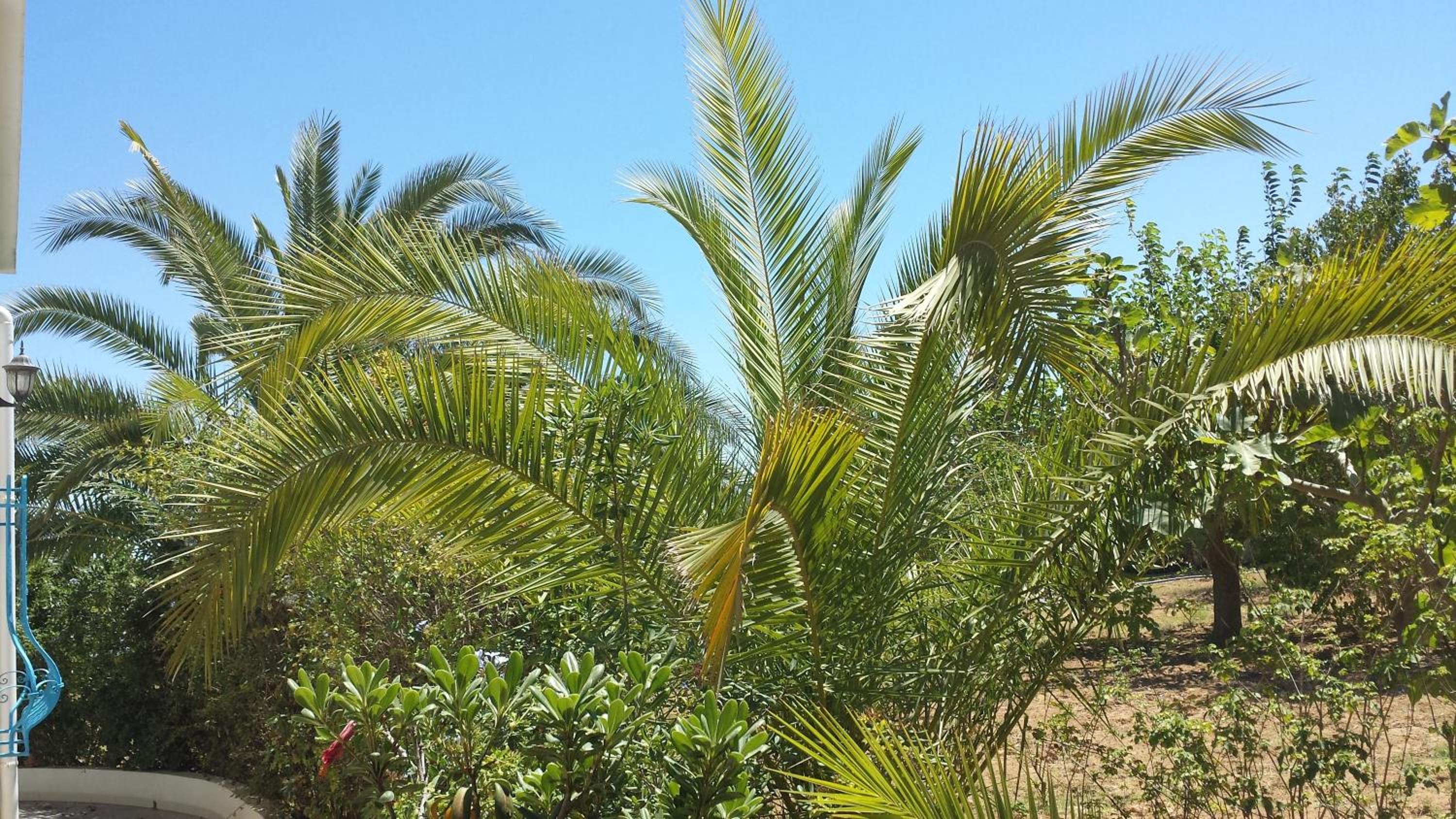 Maison Villa Sousse Chott-Meriem, jardin arboré, 400 m de la plage
