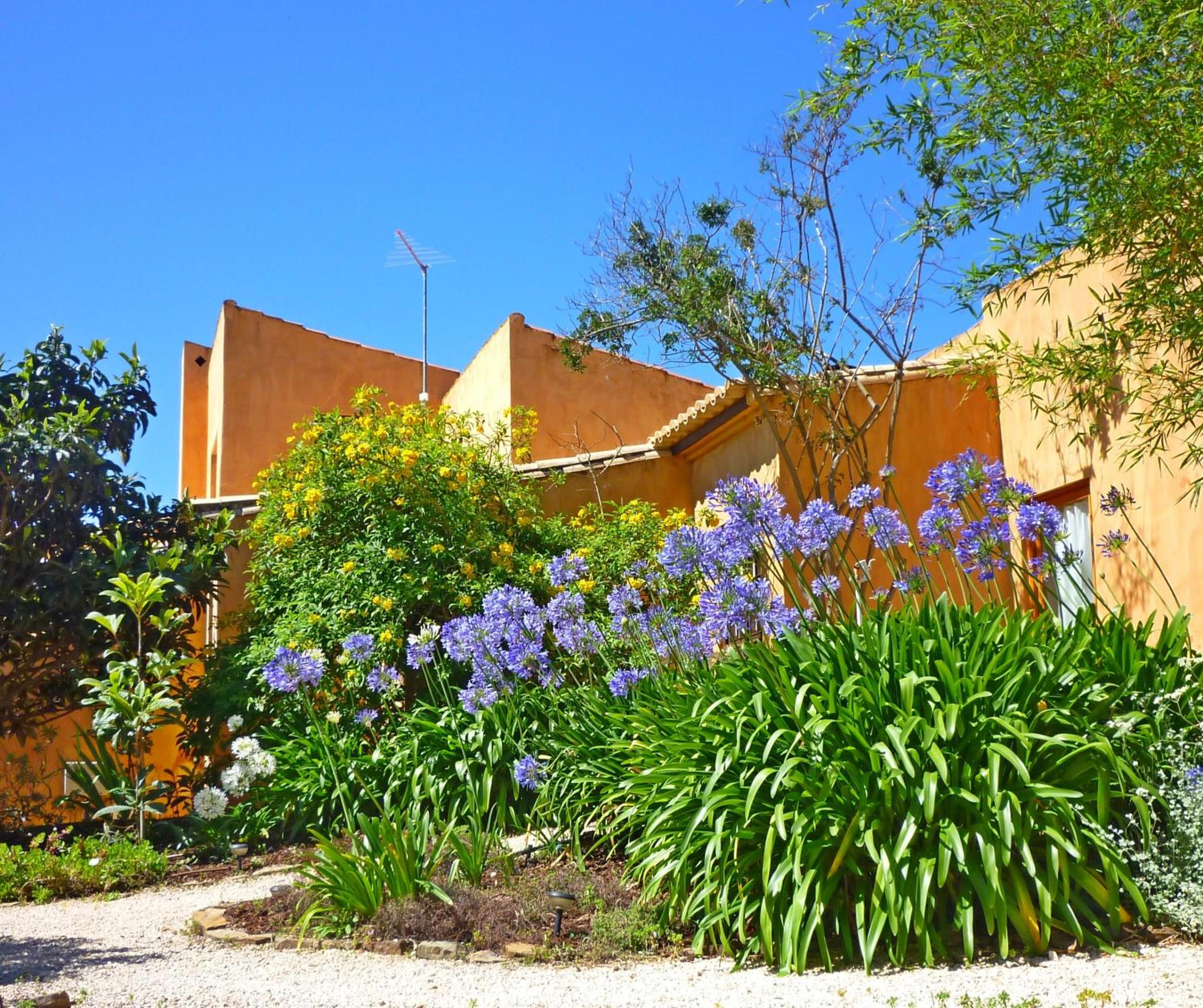 Casa dos Sonhos, private terrace, quiet location, walking to village, ecological pool, pets considered, nature friendly view 3