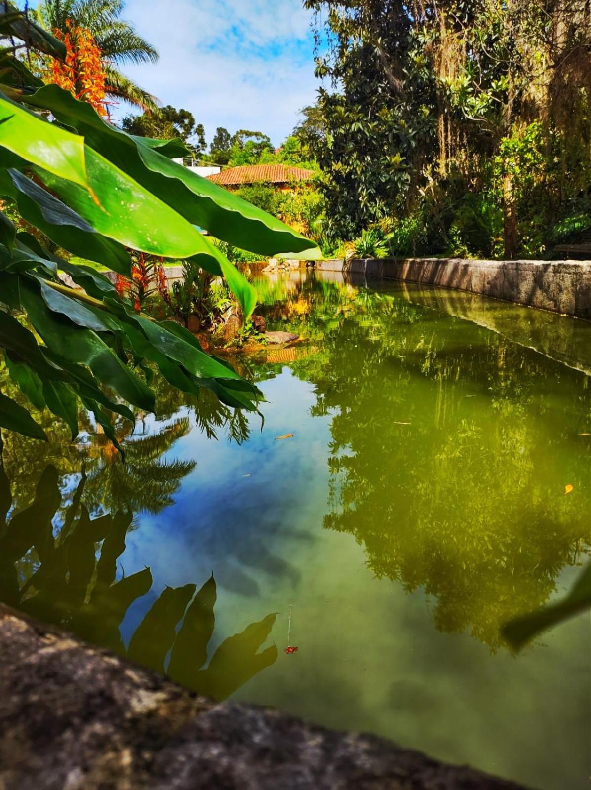 Estrada do Carangola 2148 Amoedo