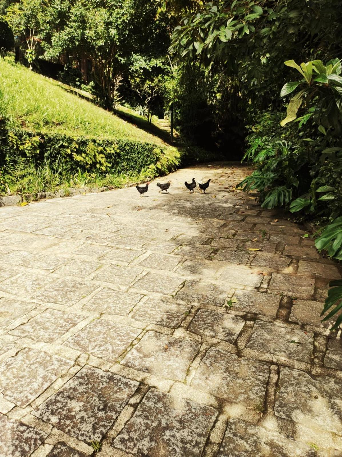 Estrada do Carangola 2148 Amoedo