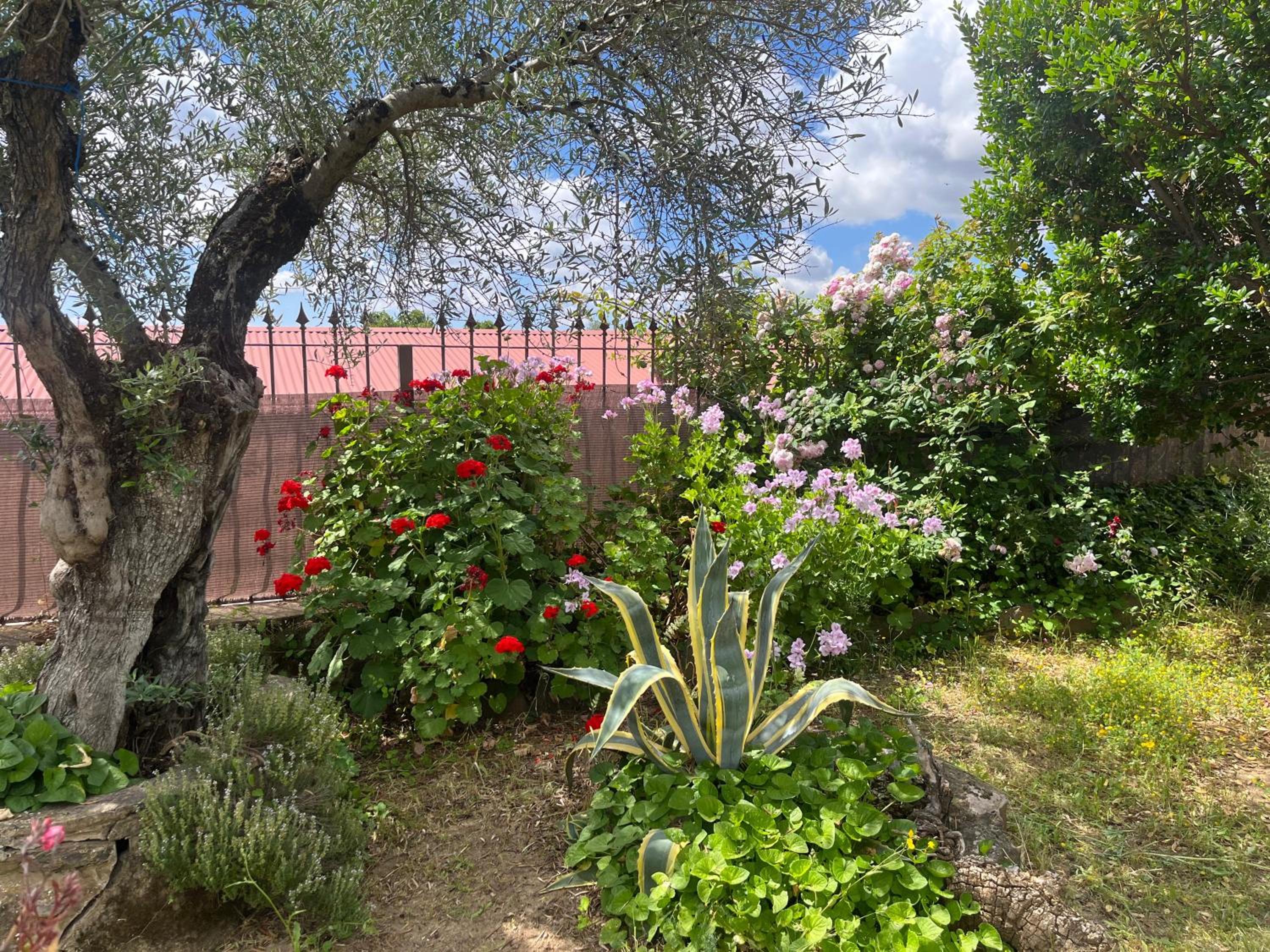 CASA RURAL La Moranta