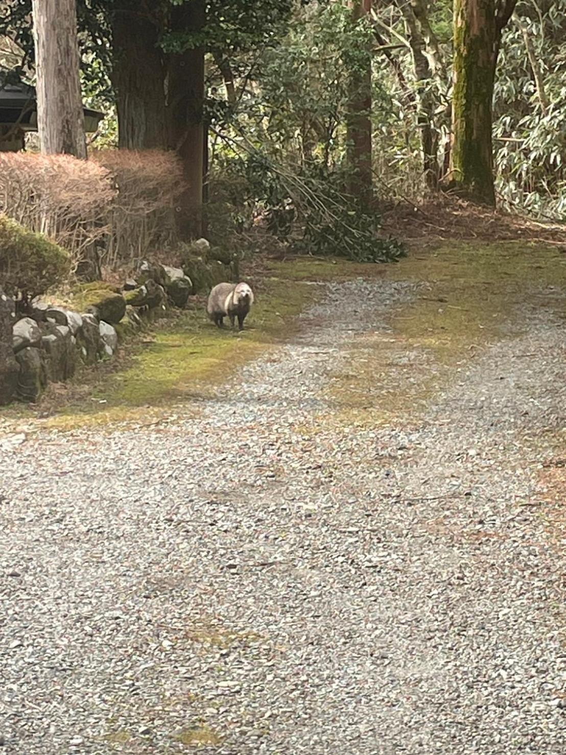 GranGiorno HAKONE Kowakidani