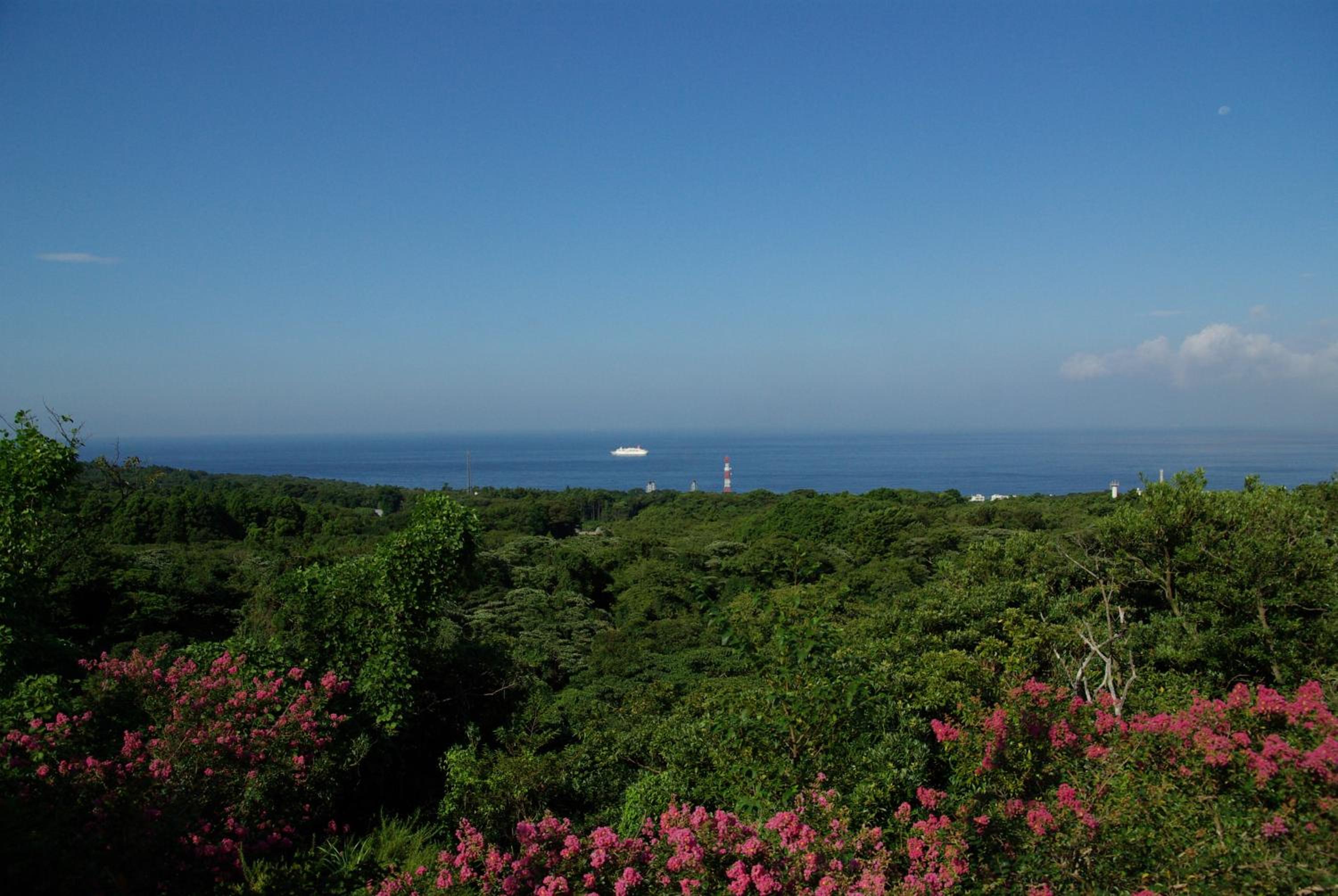 Mashio Hotel & Resort