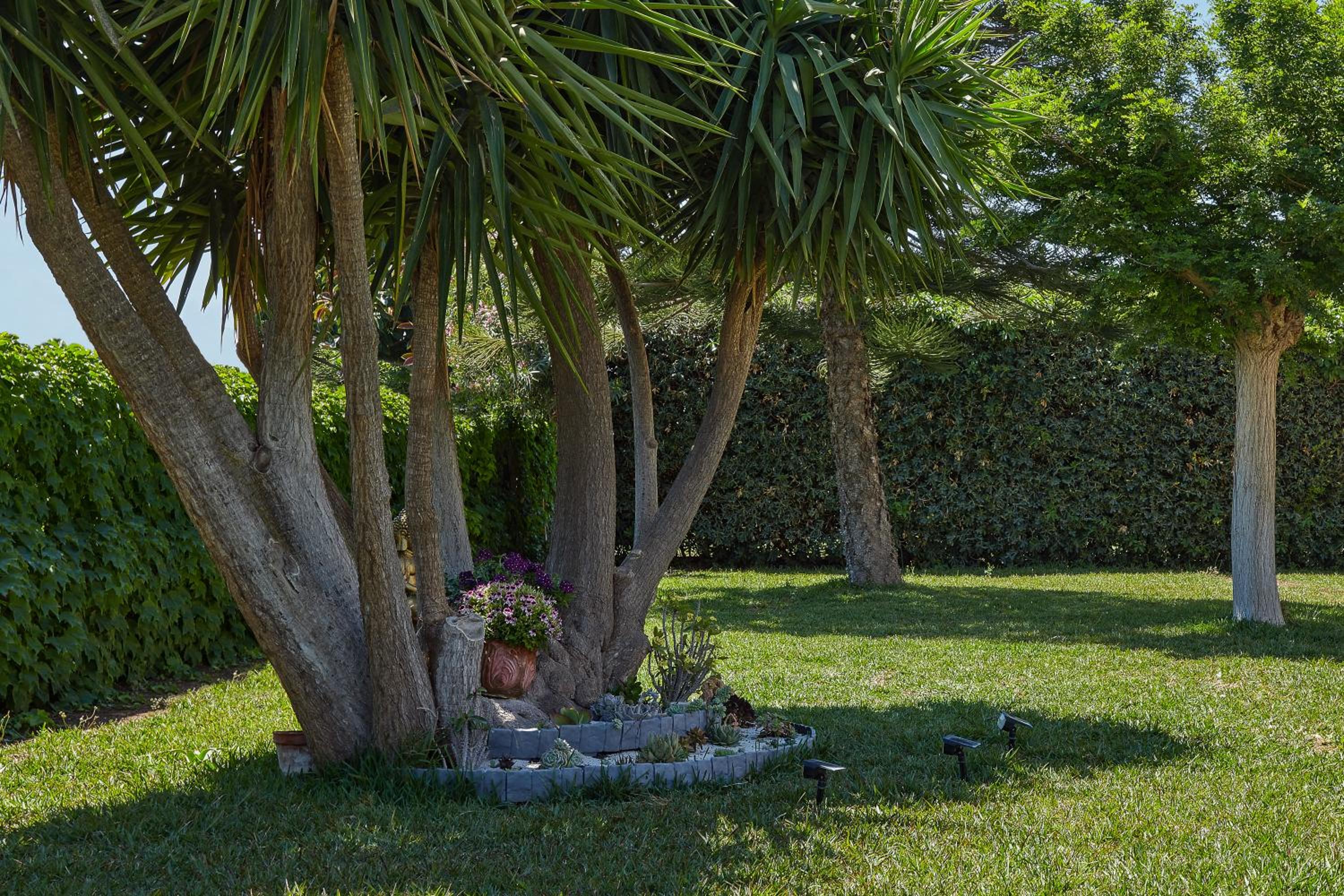 Nature home in villa w piscina view 4