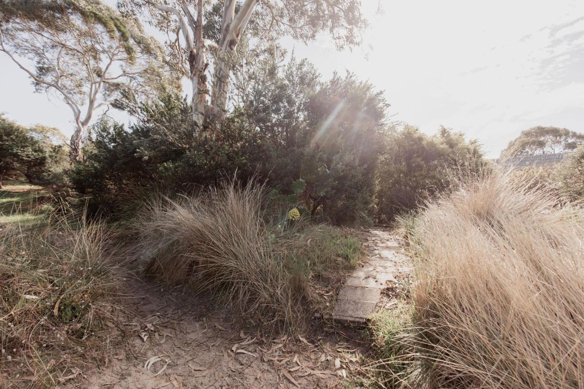 Seagrass Coastal Retreat with direct beach access