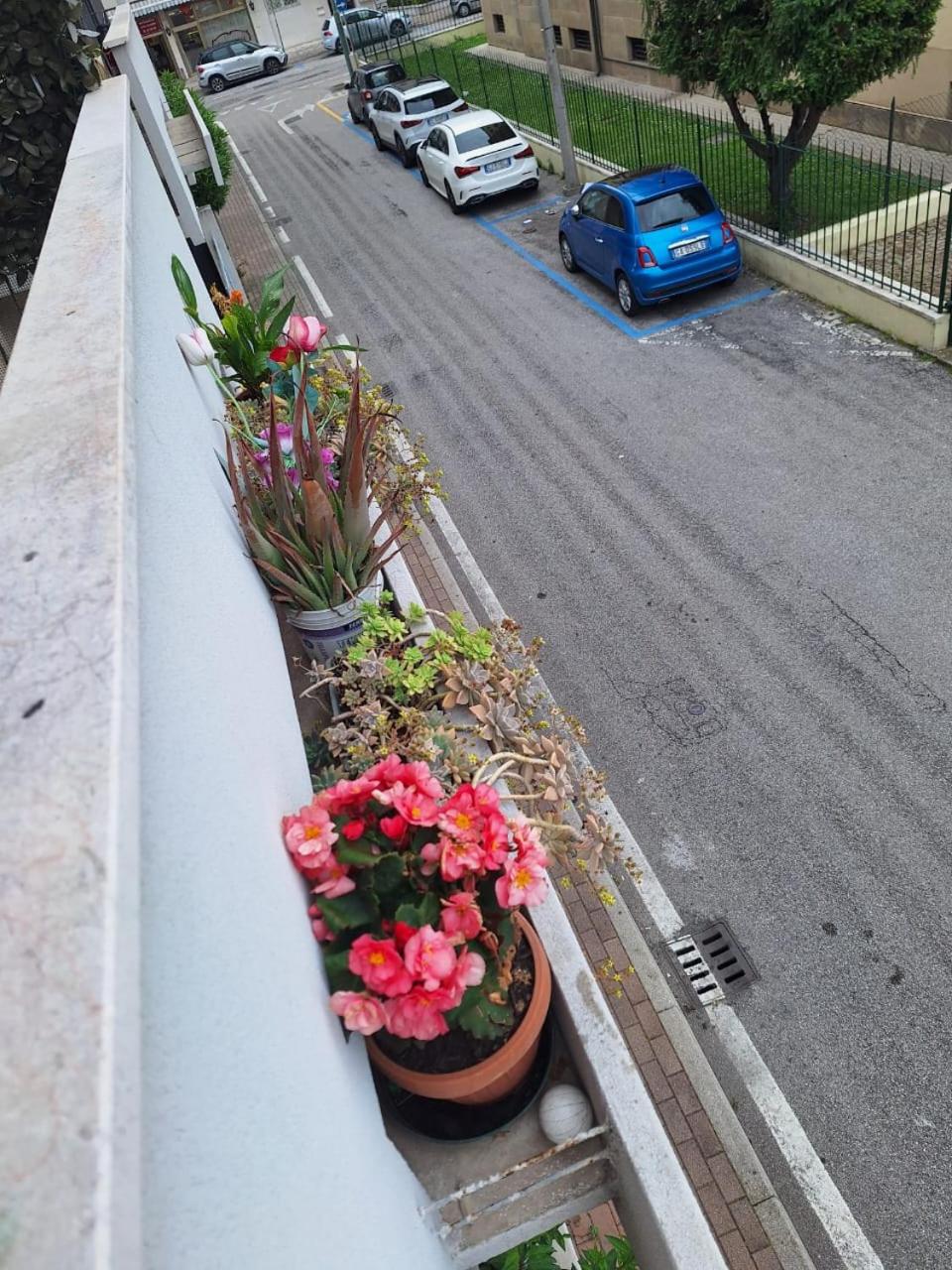 Photo 29