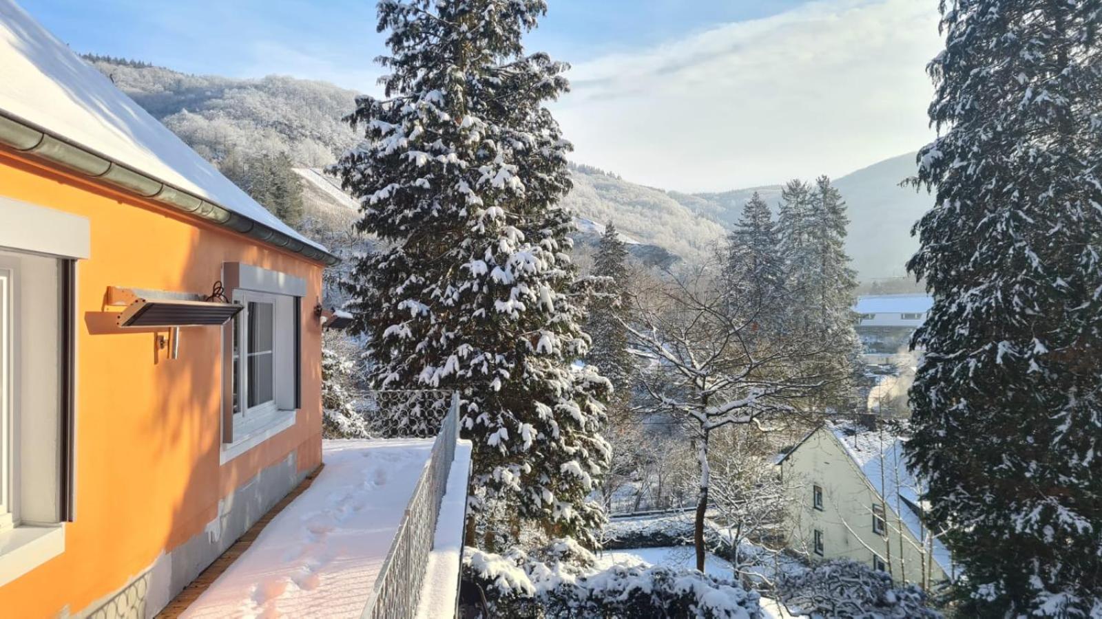 Maxi-Appartement zum gechillten Hirsch OG Traben-Trarbach