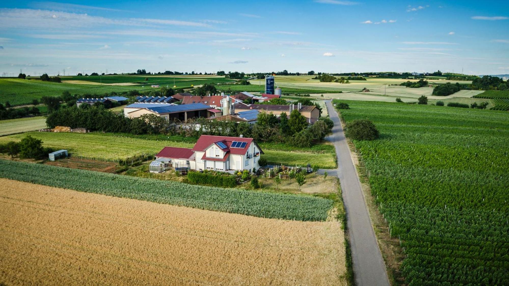 FelsengartenHof Ferienwohnung