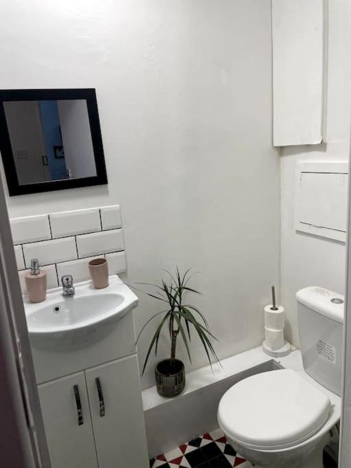 Nice Flat in Heart of London