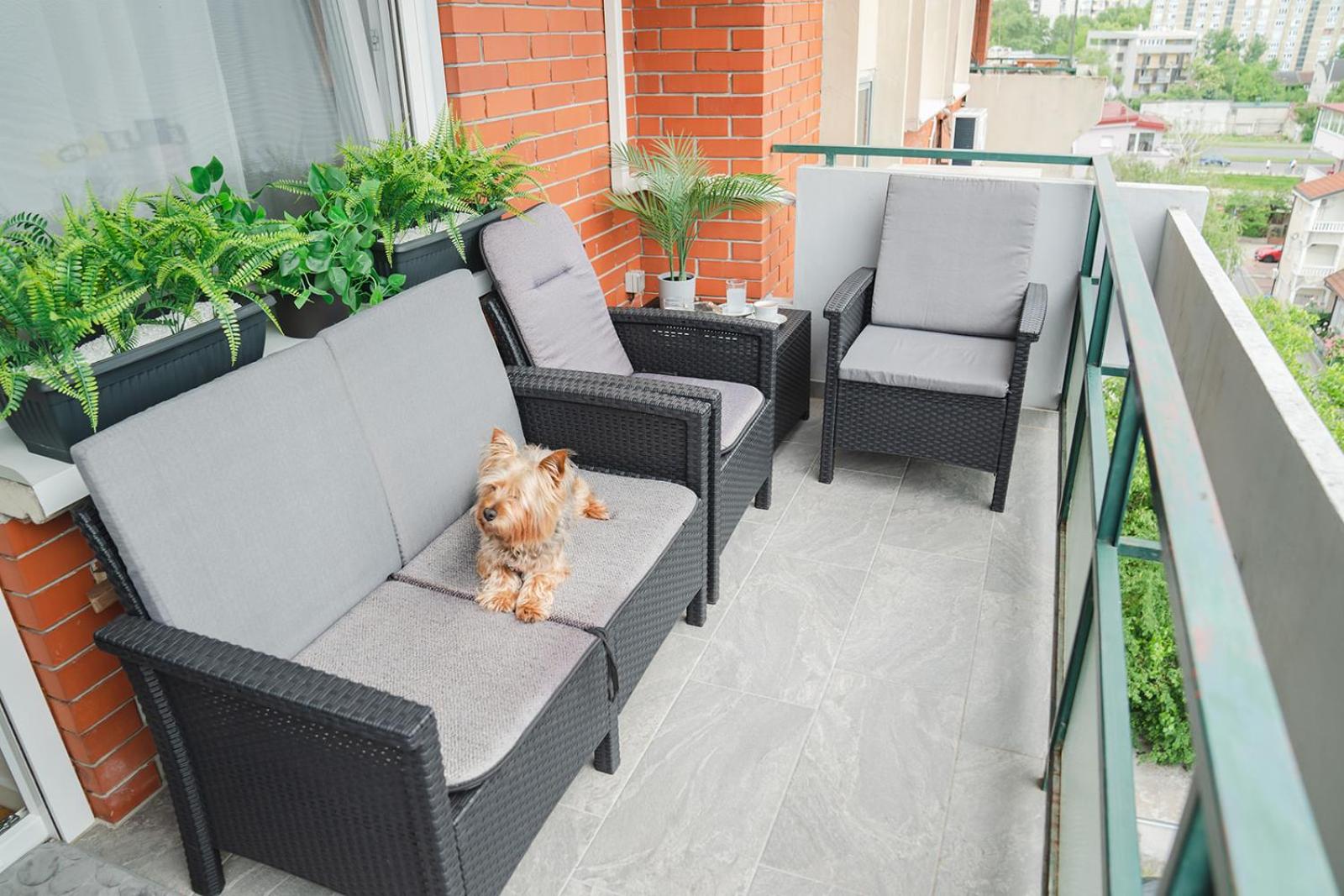 balance & terrace