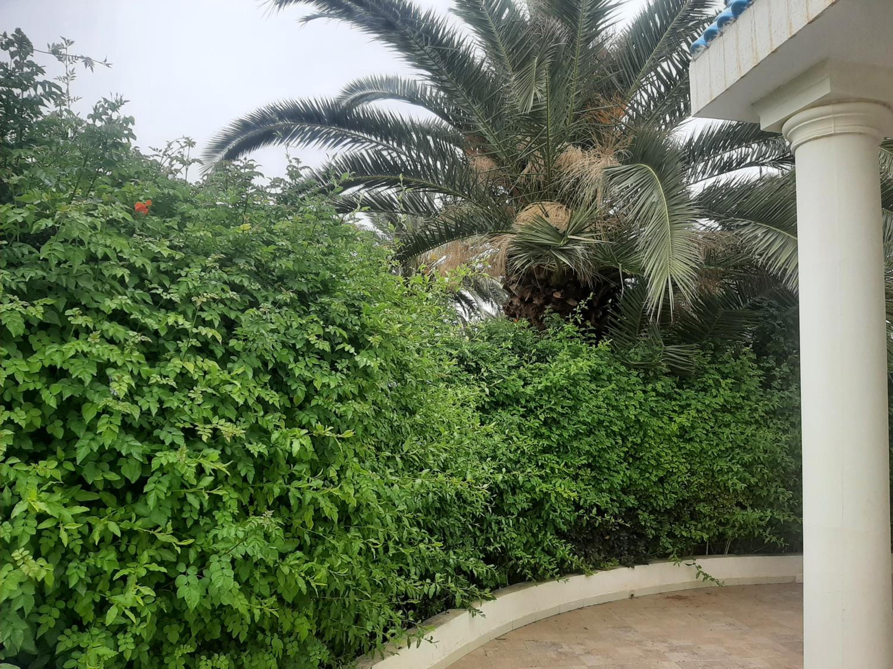 Location de vacances Sousse Chott-Meriem view 5