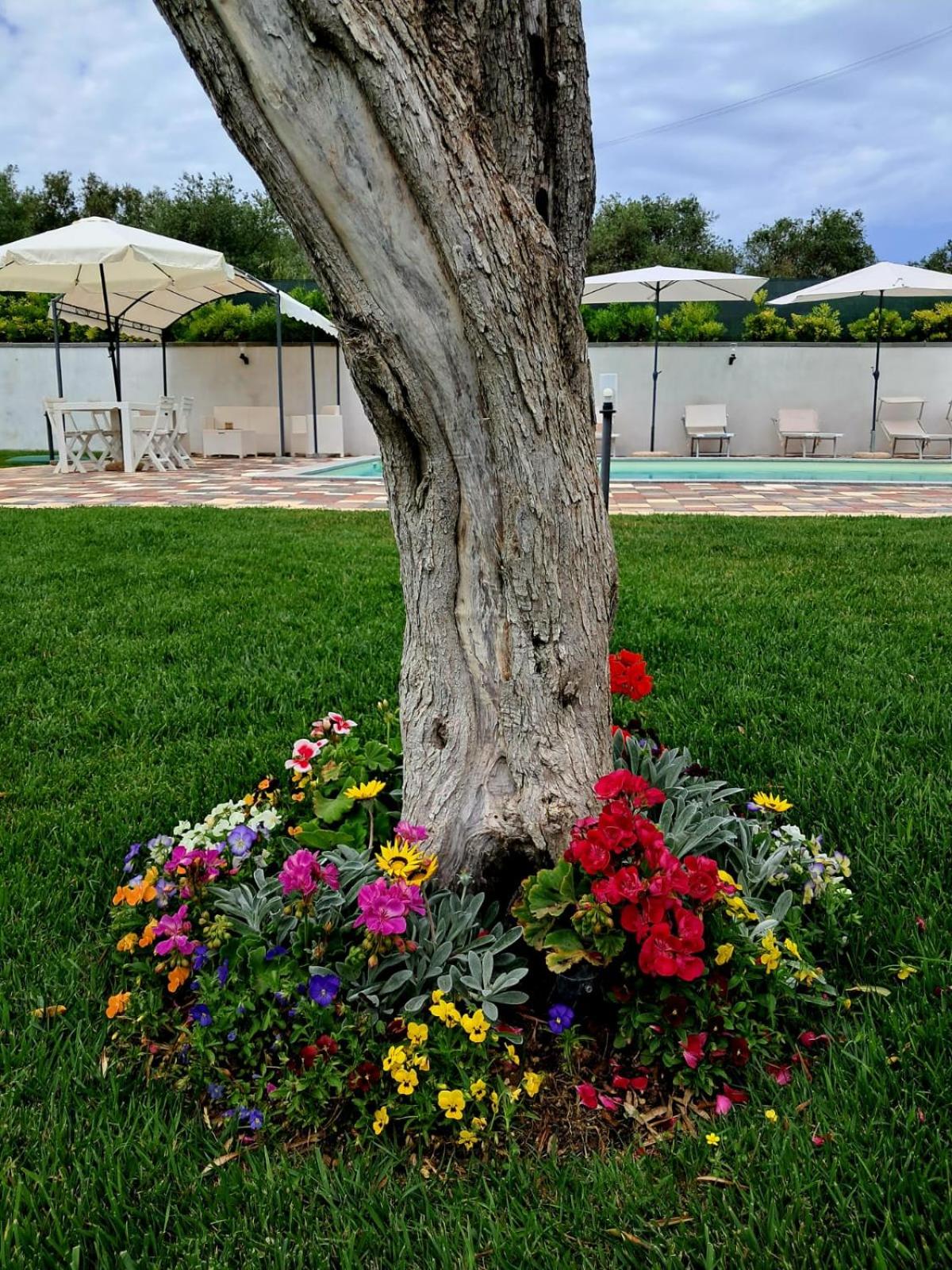 Villa Ginevra photo 5
