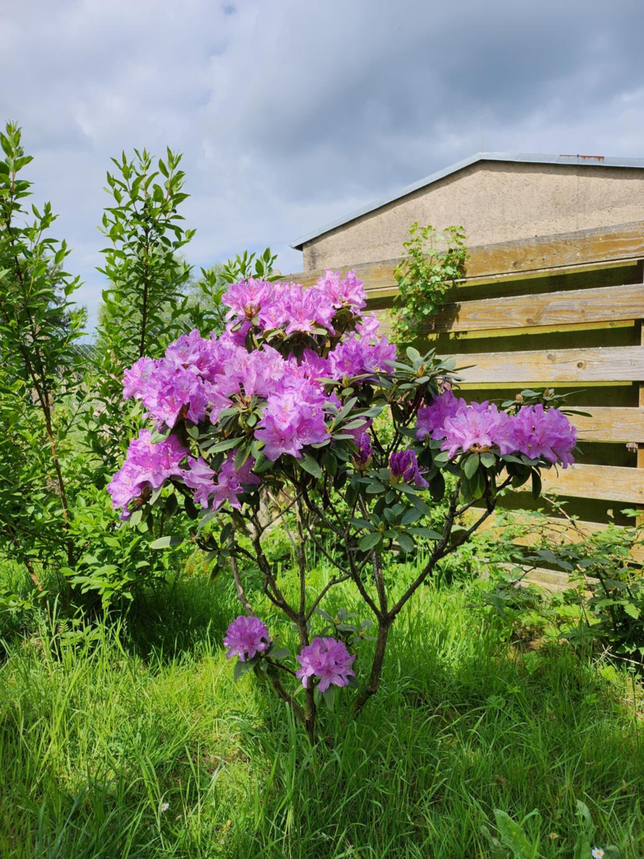 Ferienhaus Naturpur Chorin