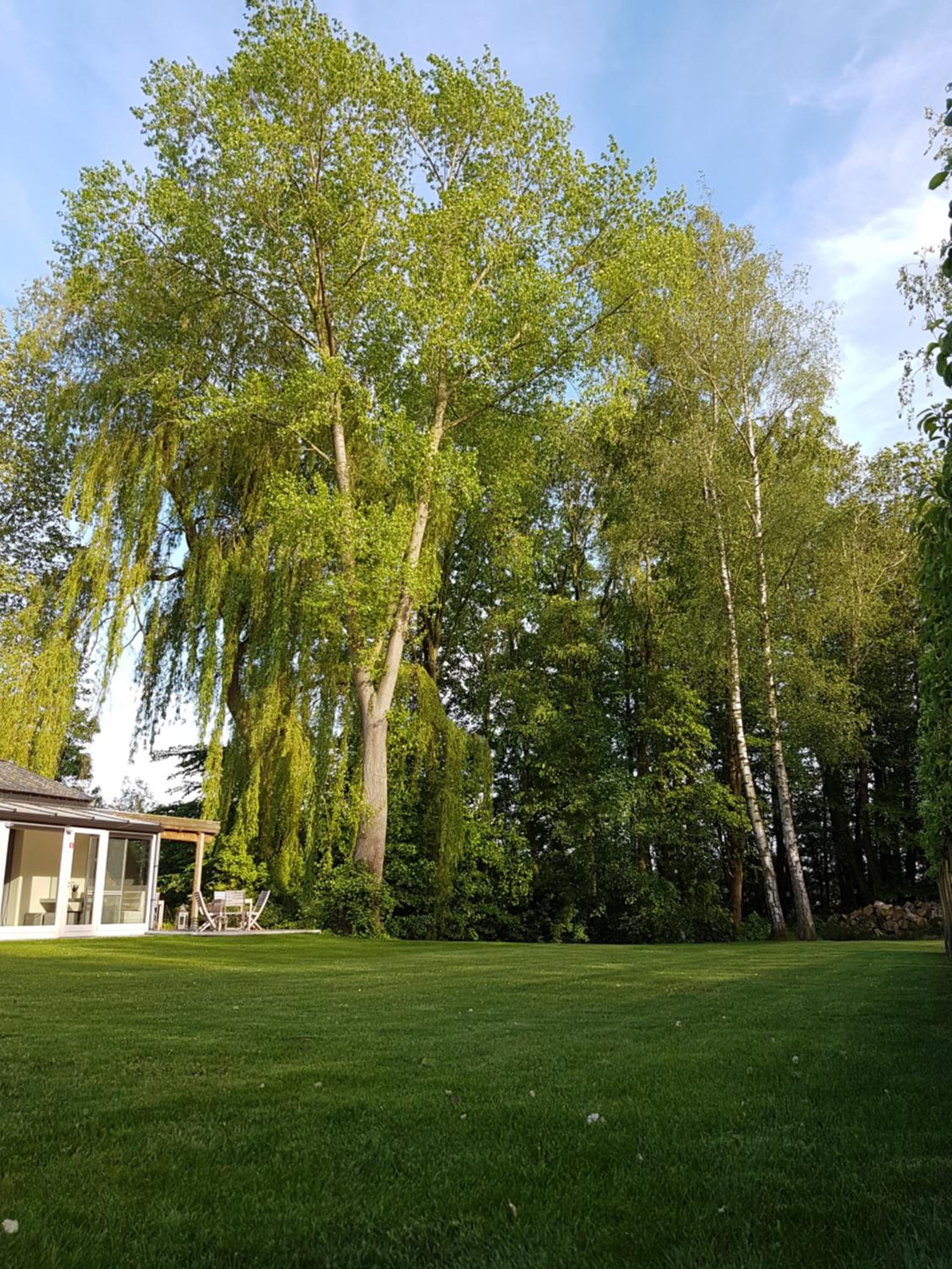 Photo 49