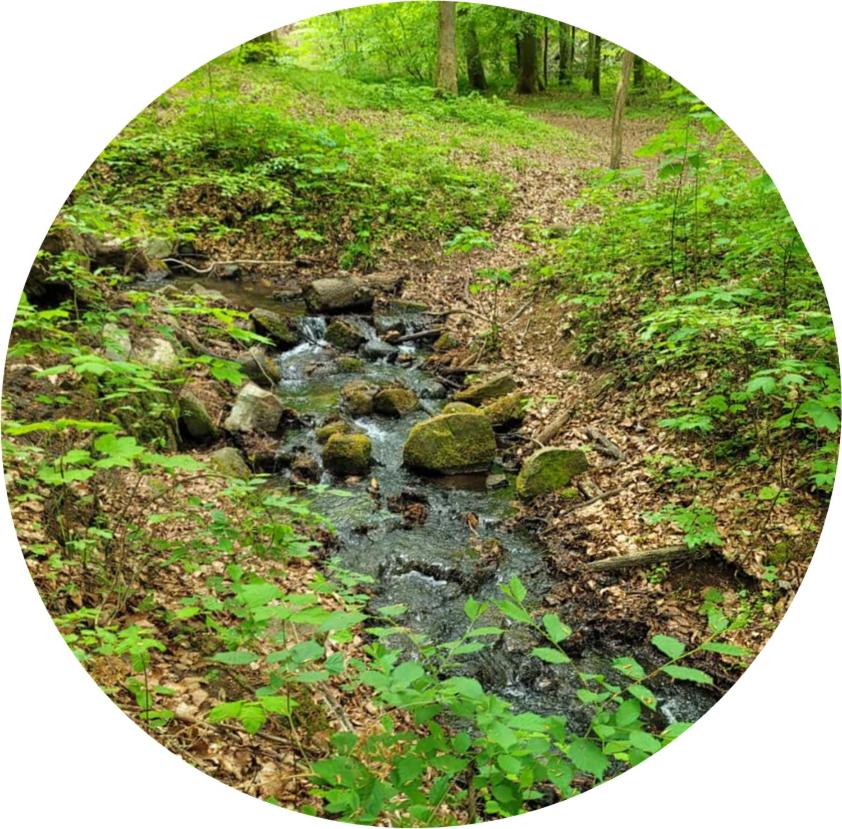 Ferienhaus Naturpur Chorin