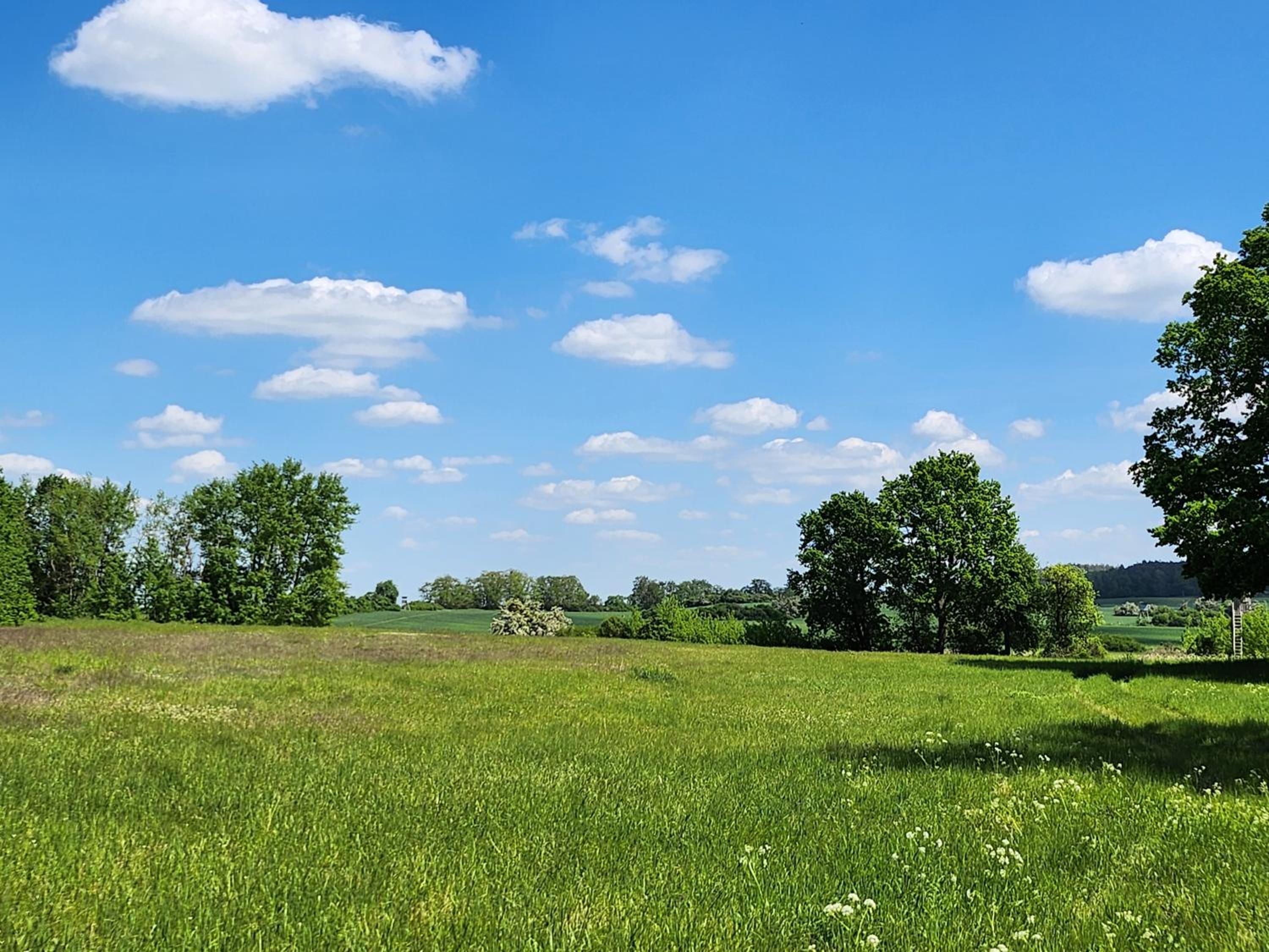 Ferienhaus Naturpur Chorin