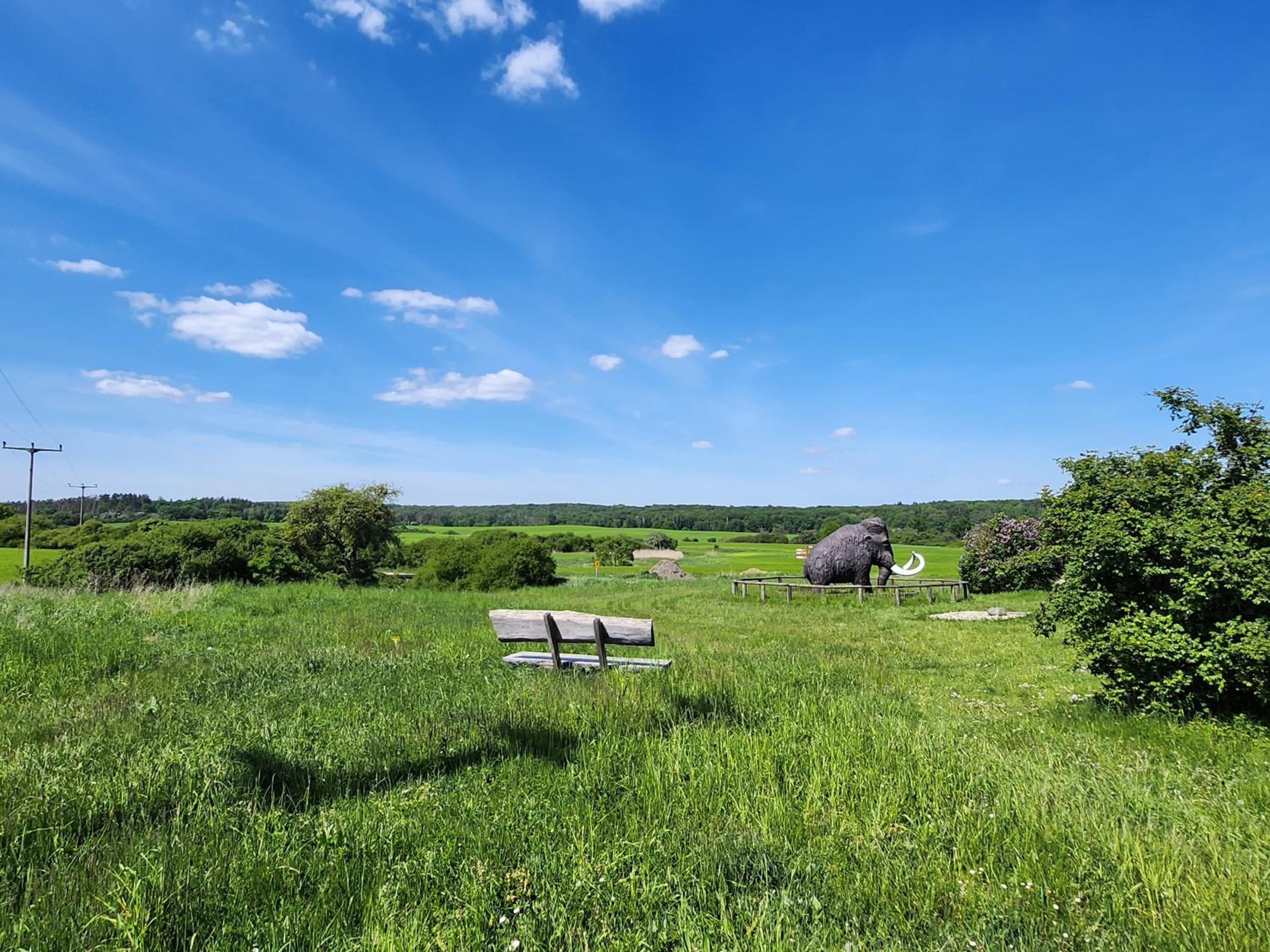 Ferienhaus Naturpur Chorin