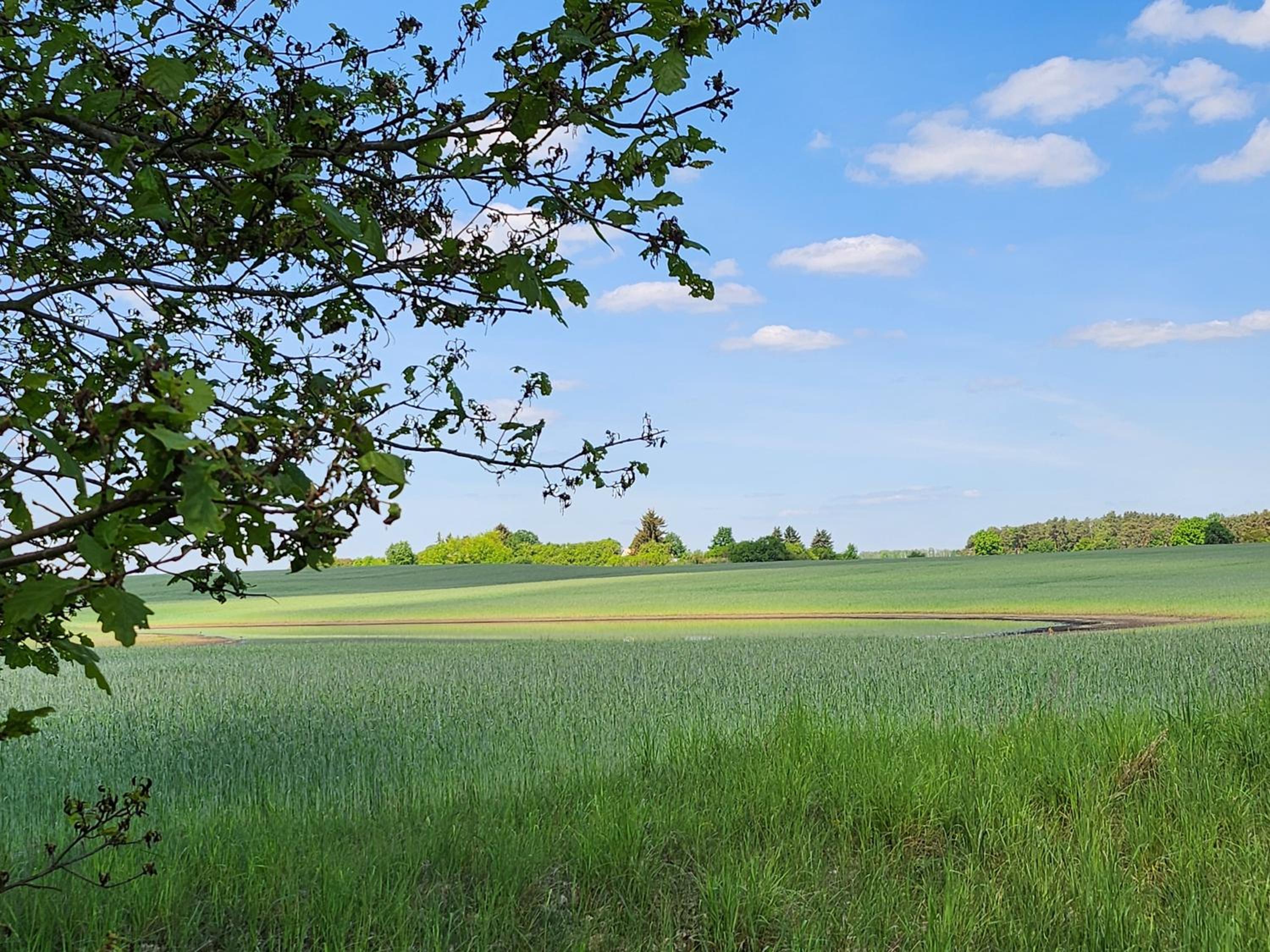 Ferienhaus Naturpur Chorin