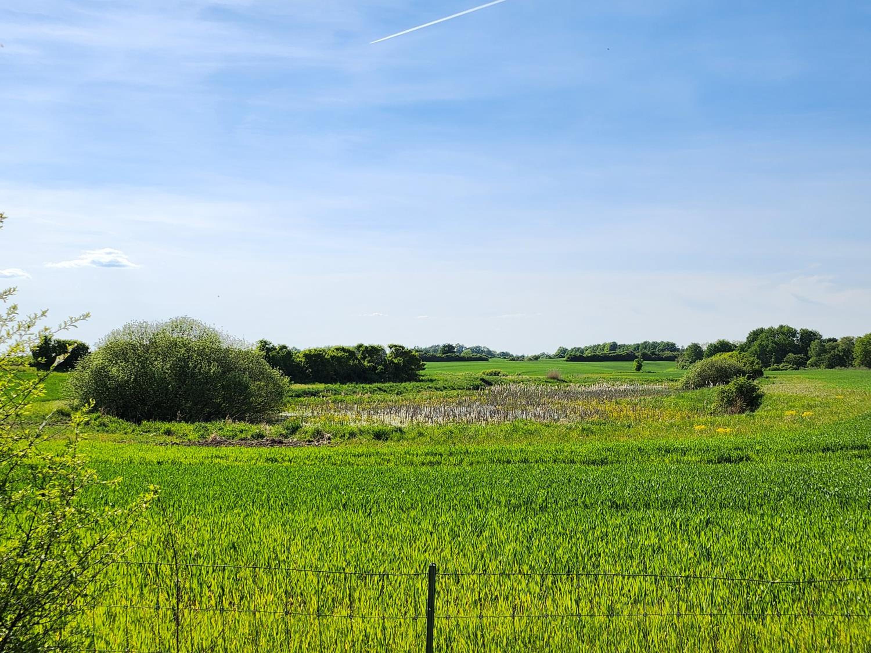 Ferienhaus Naturpur Chorin