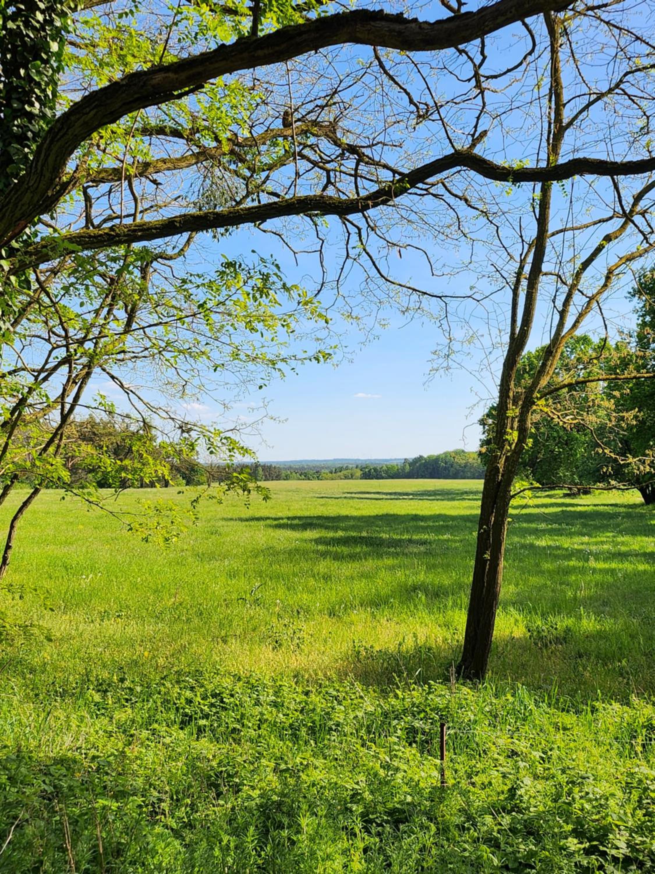 Ferienhaus Naturpur Chorin