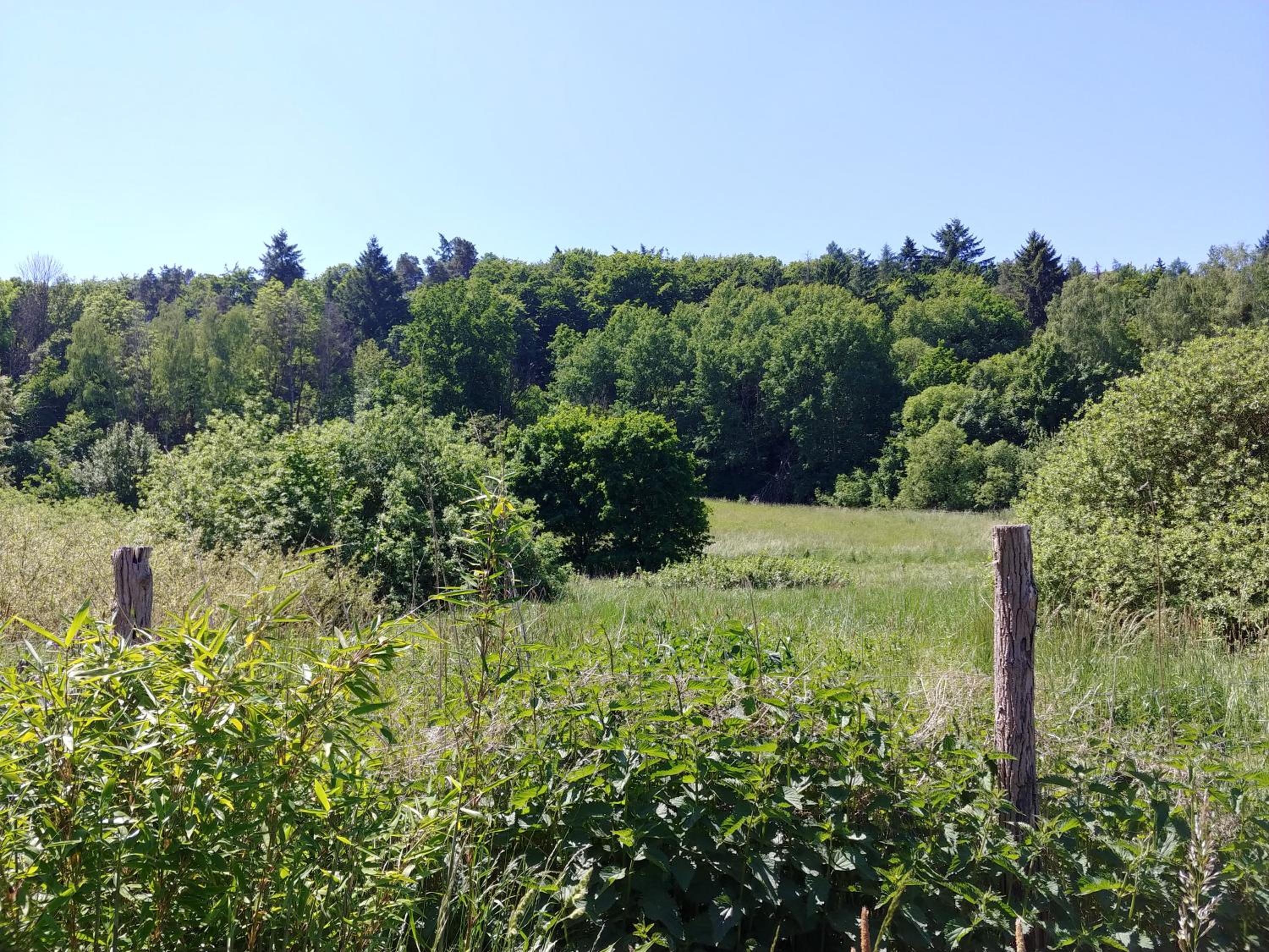 Ferienhaus Naturpur Chorin