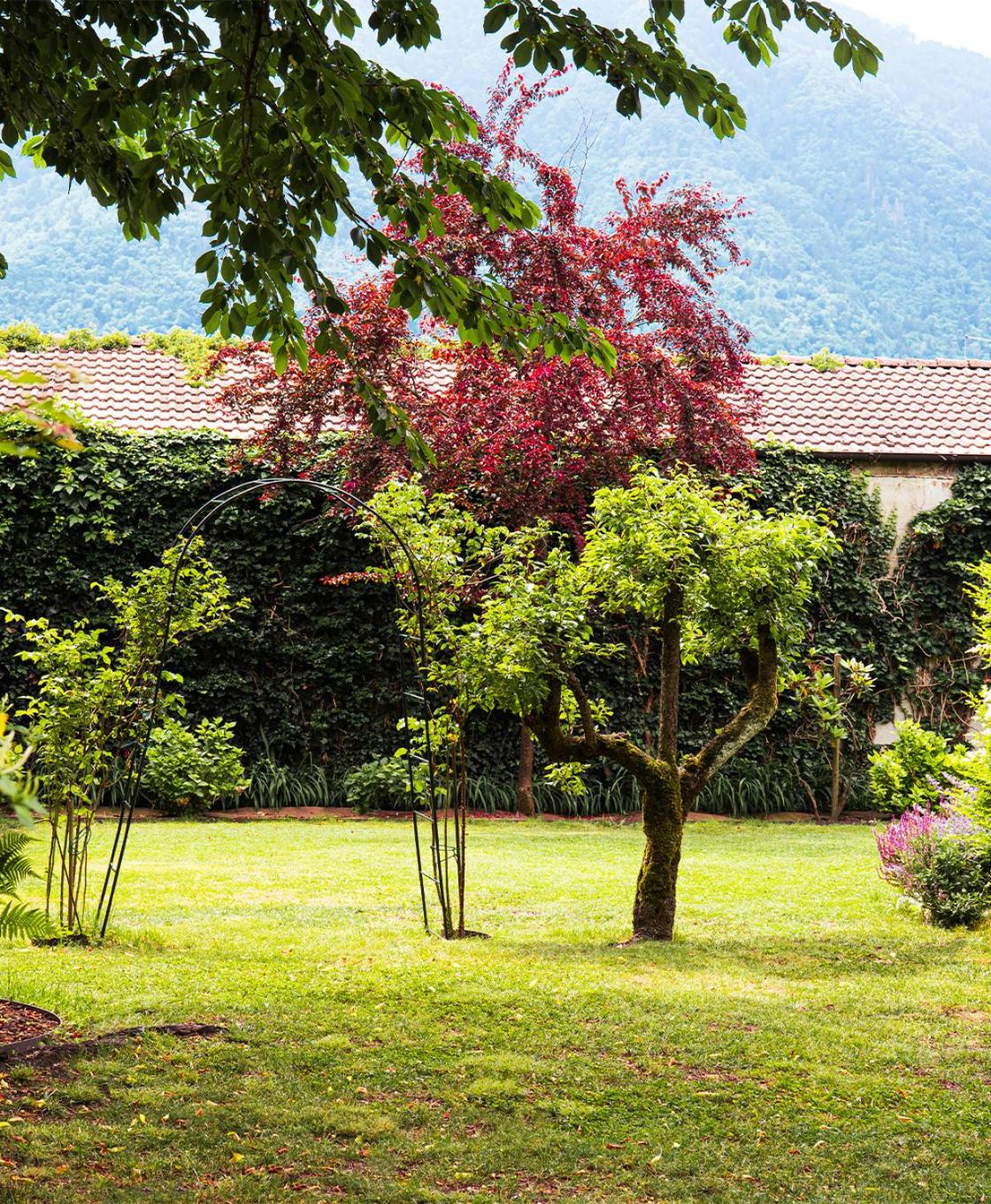 La Casa del Ciliegio view 3