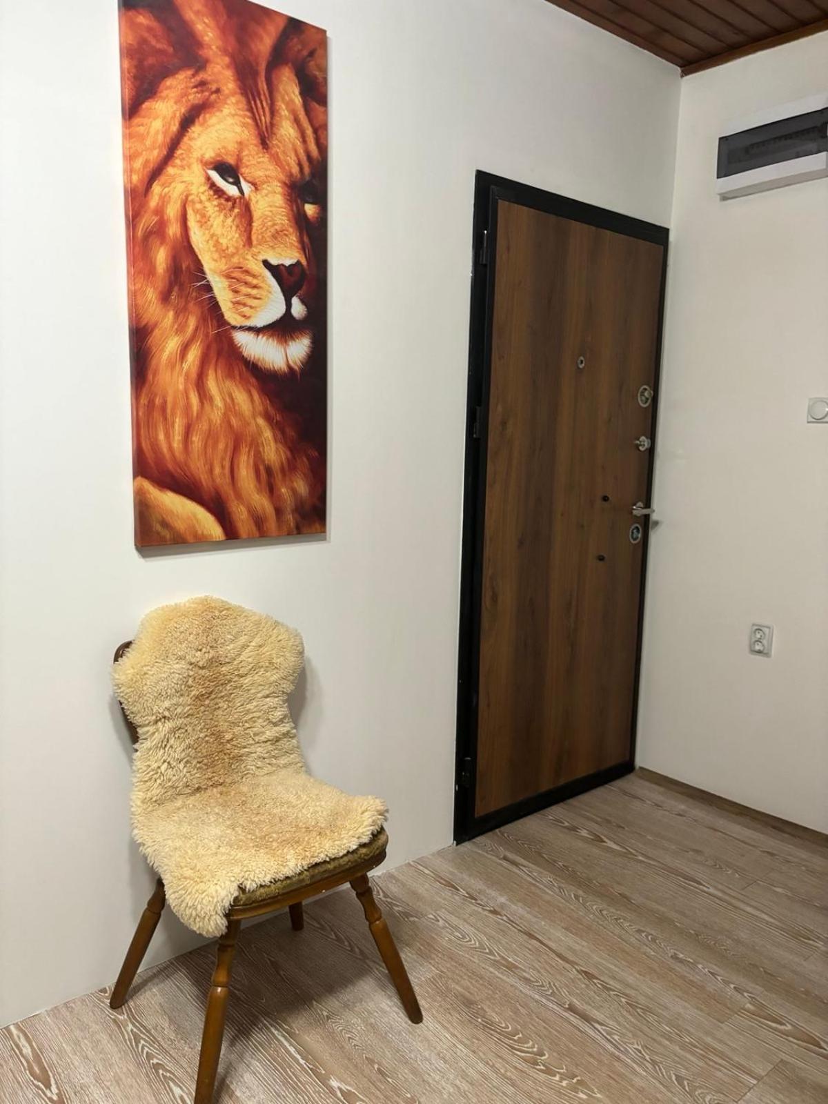 Apartmani Jelena