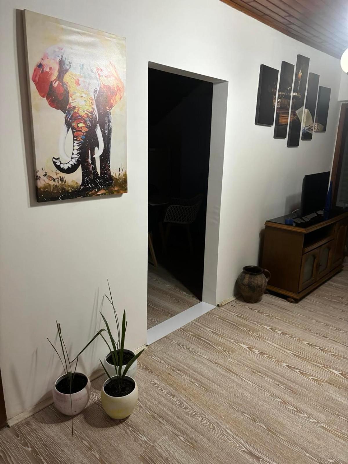 Apartmani Jelena