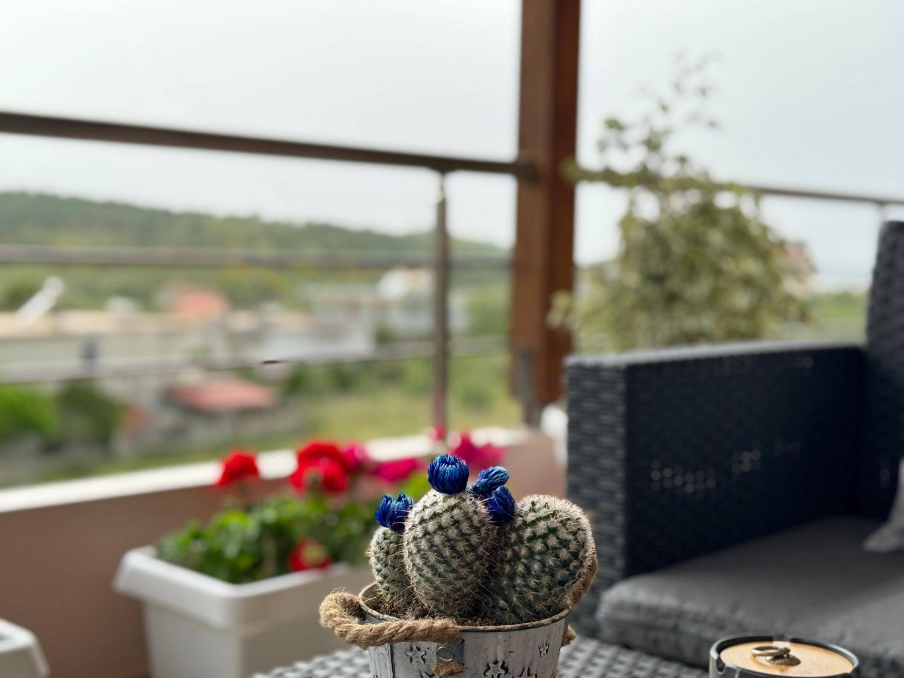 Nadi Penthouse with sea view