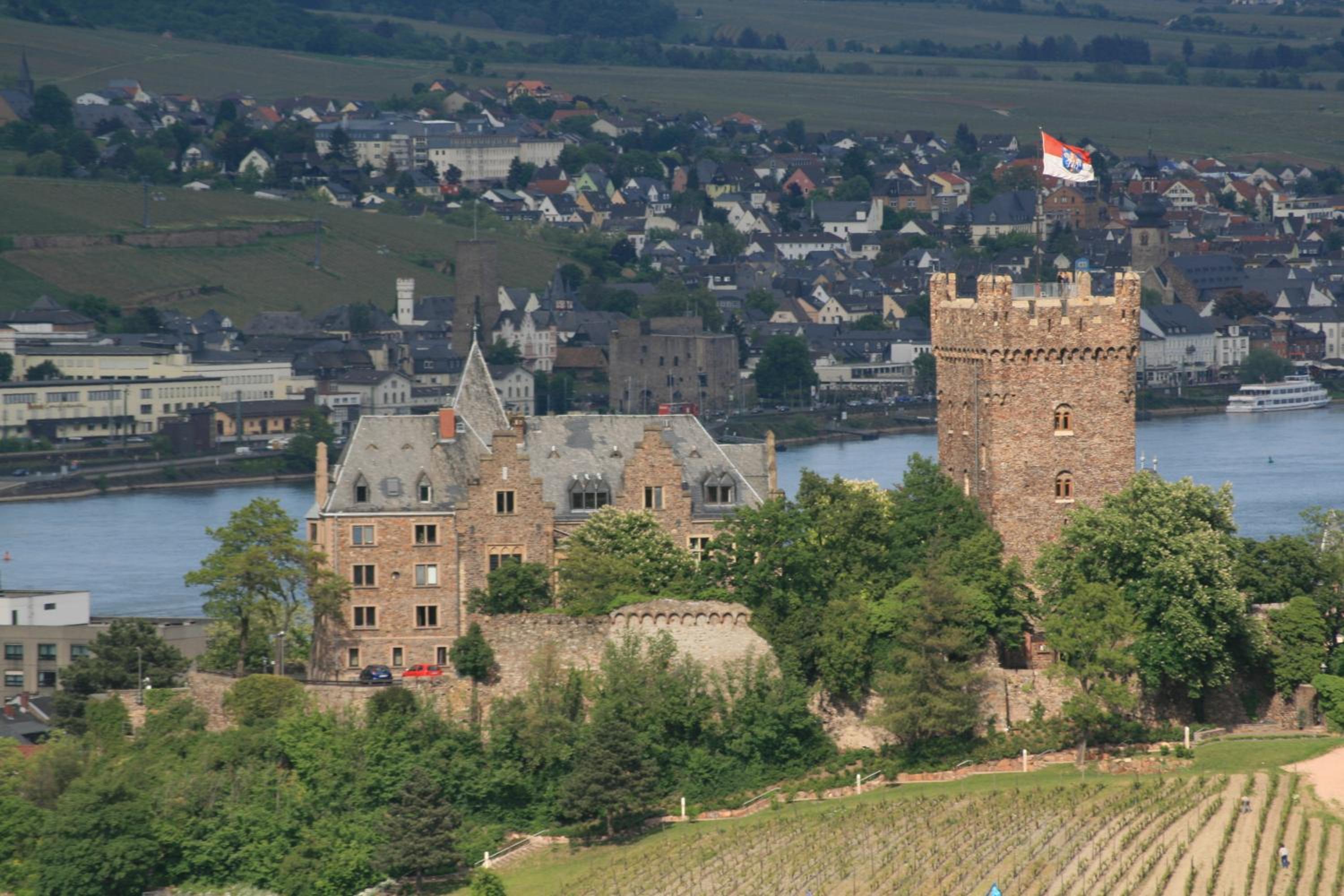 Ferienwohnung Rheinblick