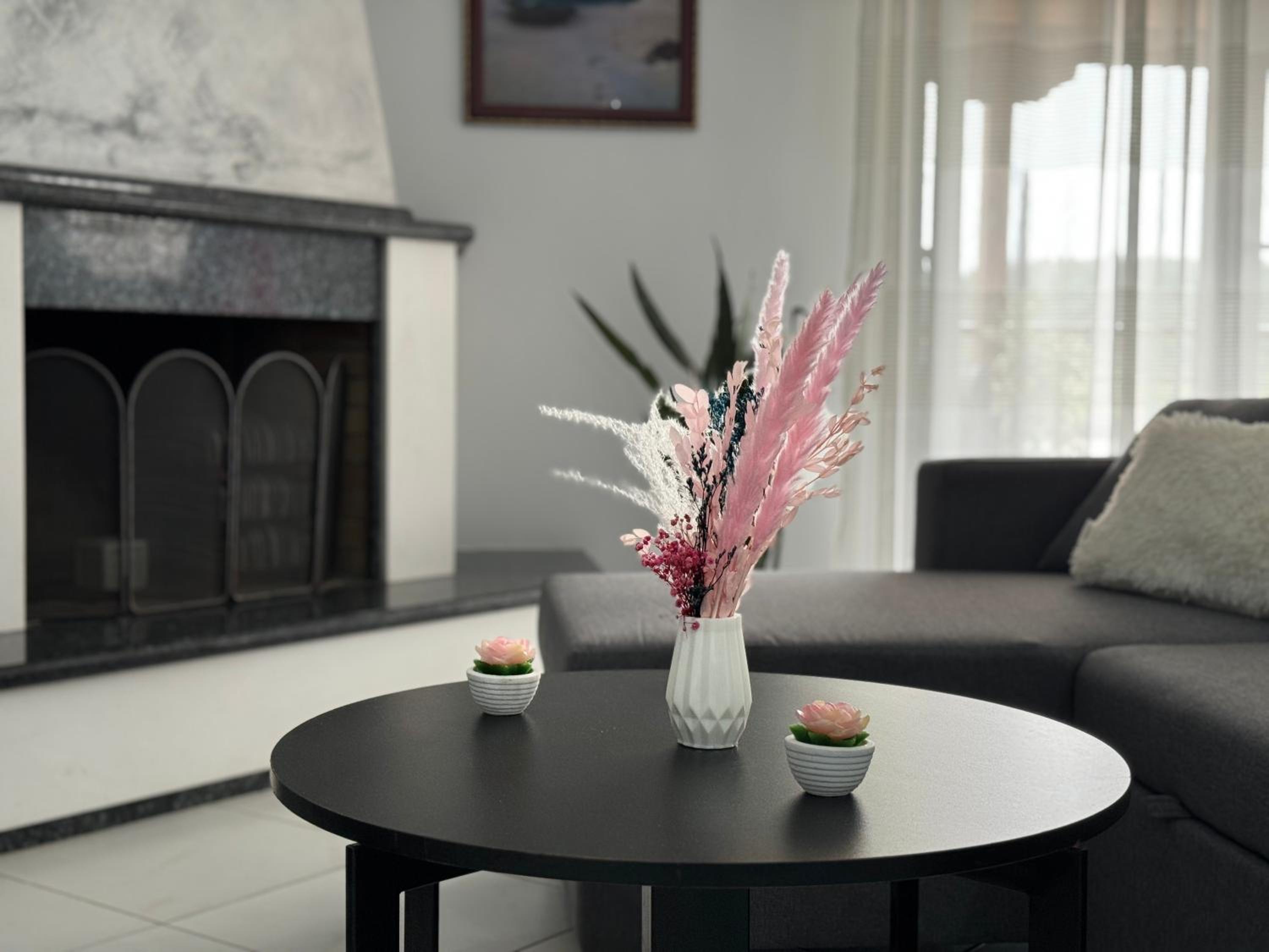 Nadi Penthouse with sea view