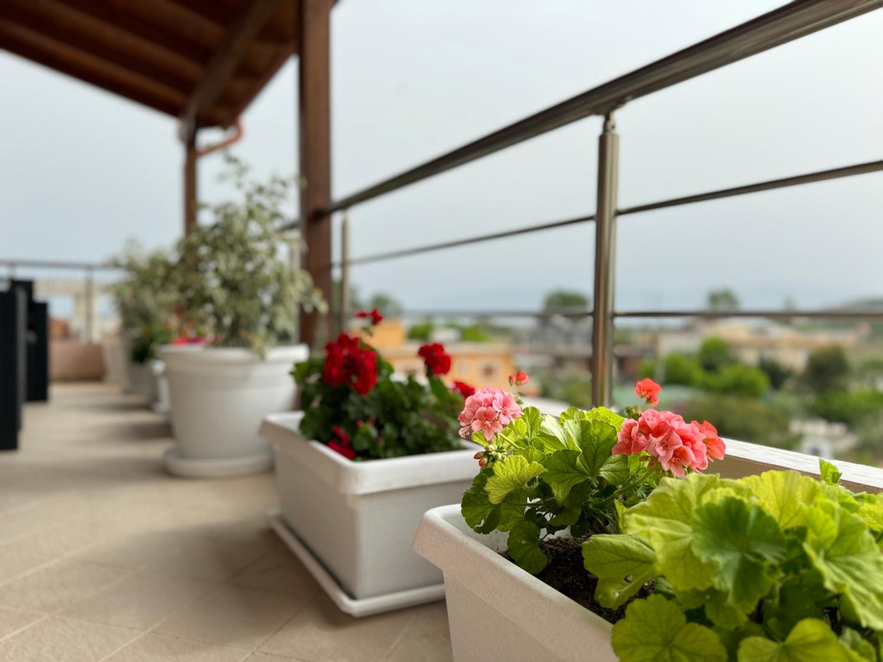 Nadi Penthouse with sea view