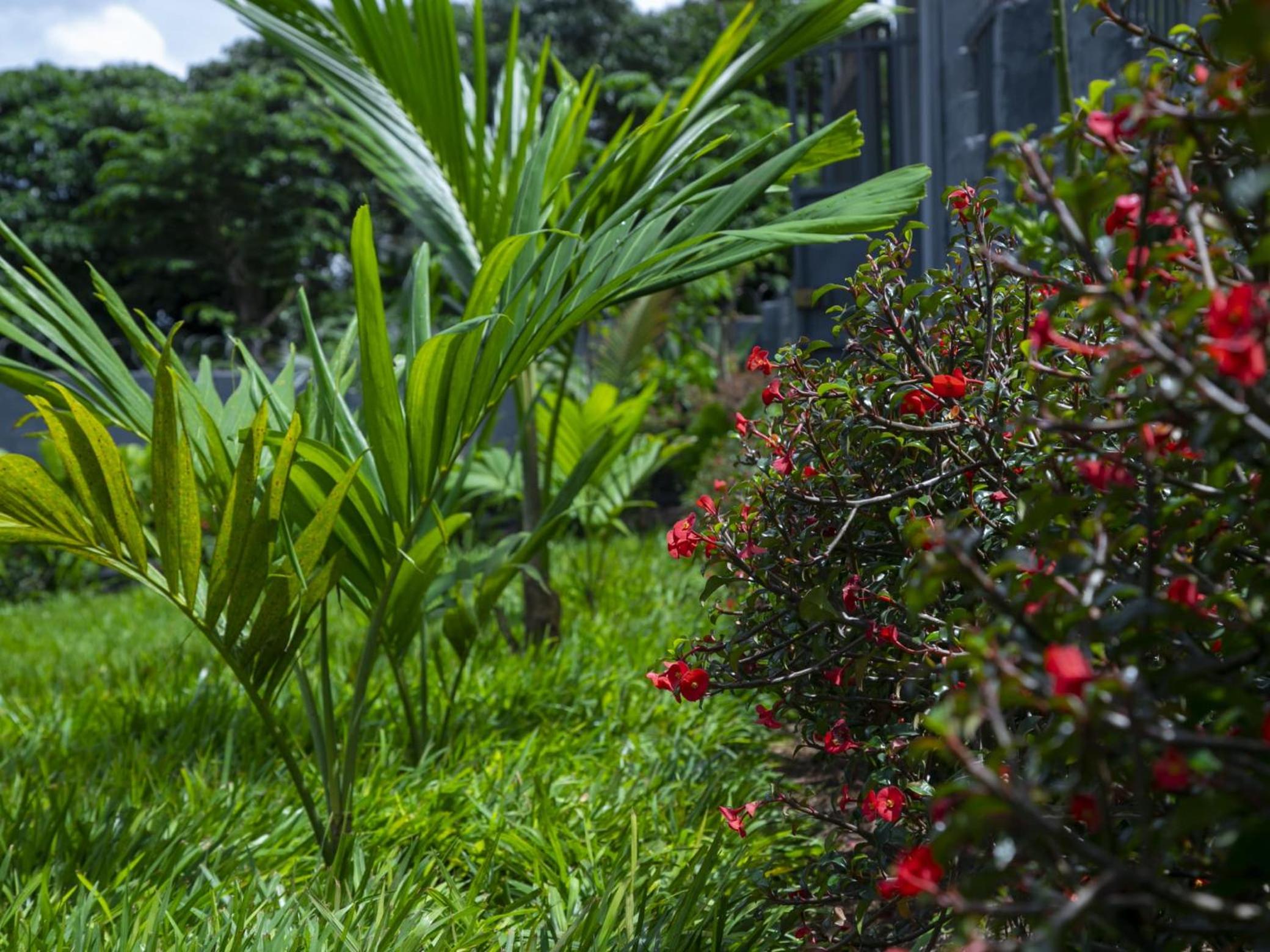 Aminata Homes view 3