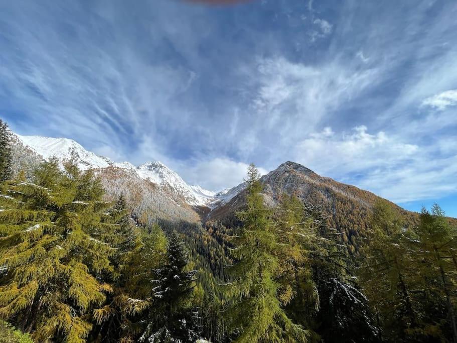 Idyllisches und alleinstehendes Maiensäss in Valposchiavo